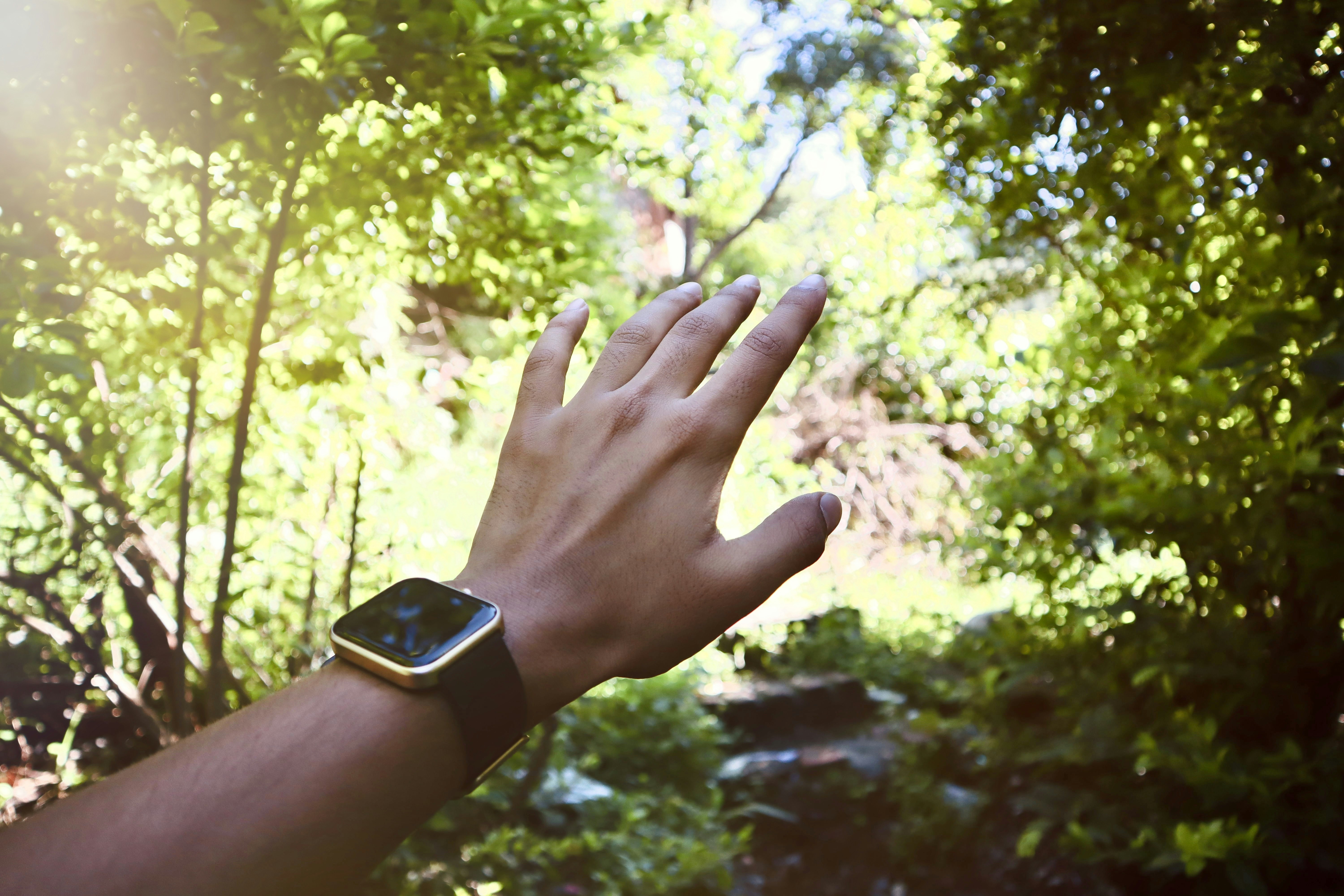 10 Eco-Friendly Budget Friendly Watch Options for Sustainable Men
