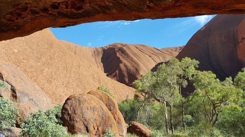 Una vista de un cañón con árboles