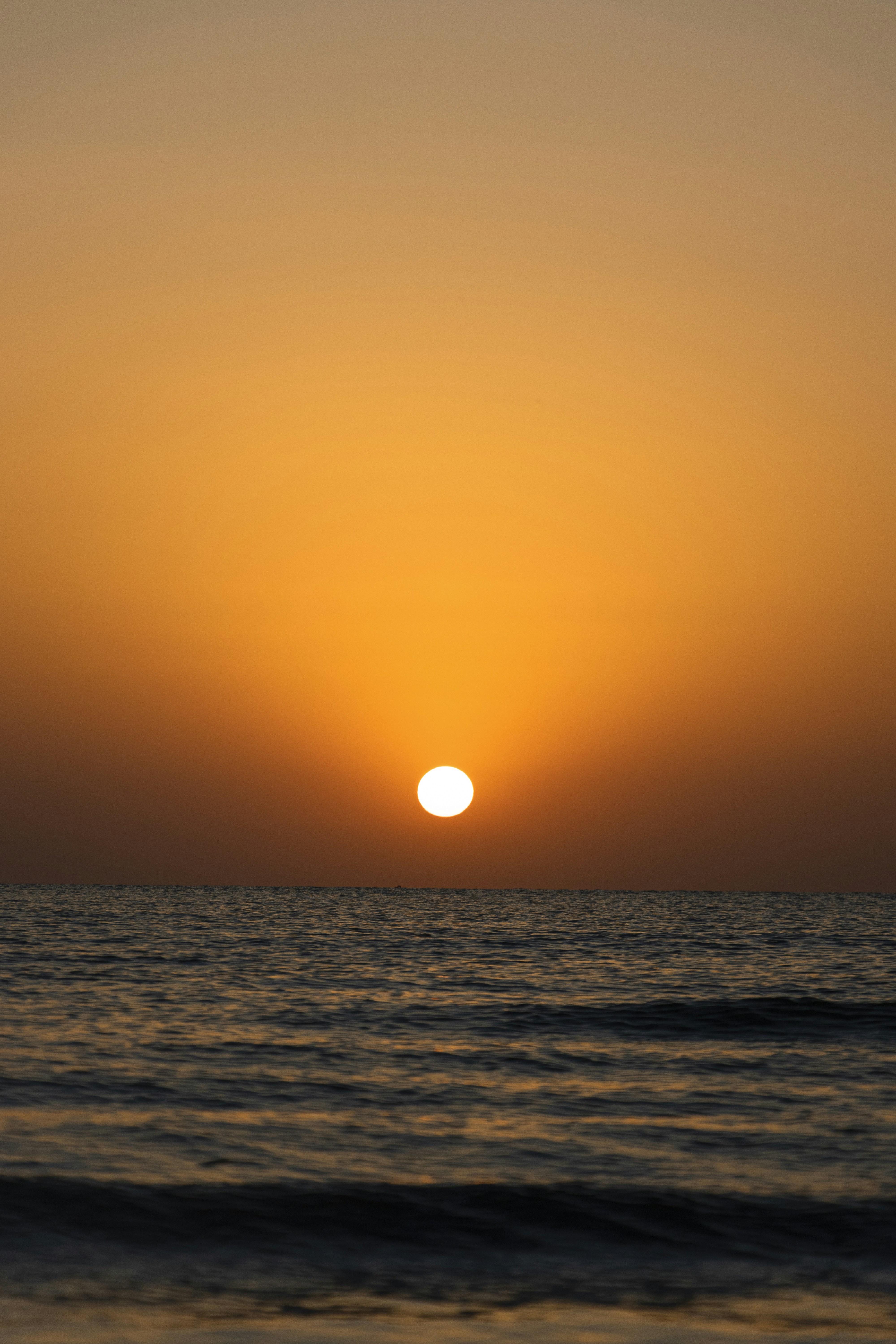 Photo by sedcreatives