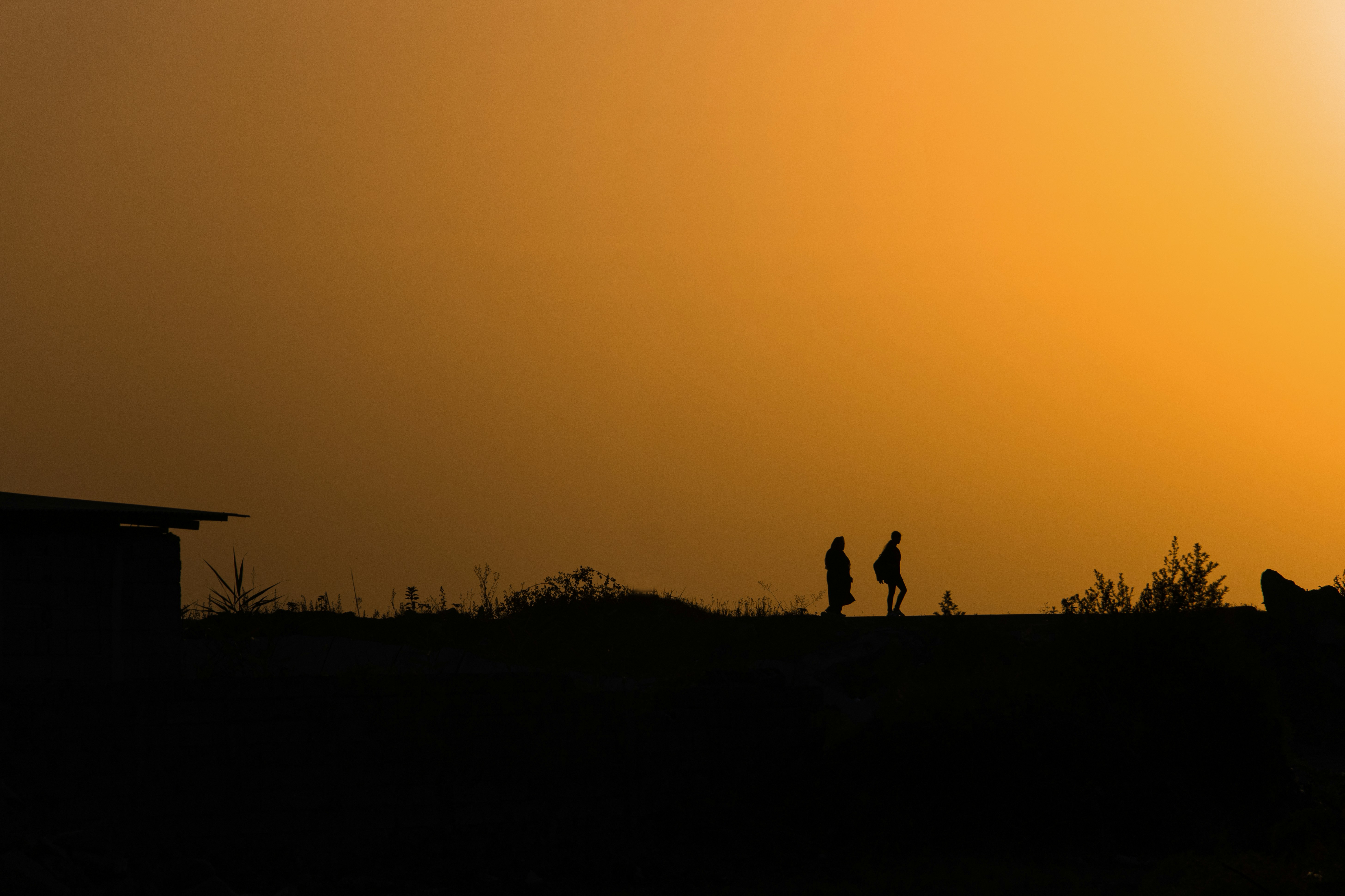 Photo by sedcreatives