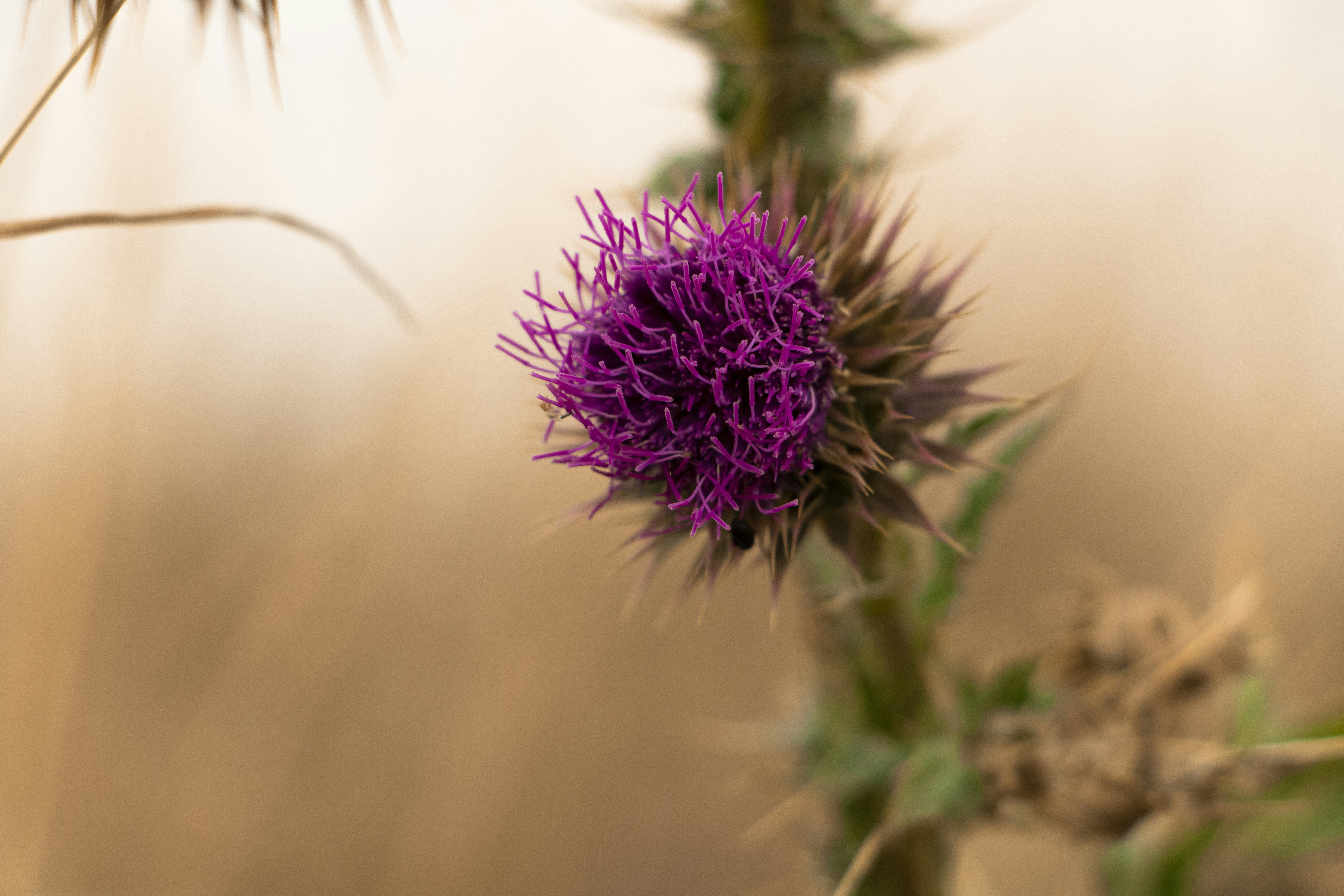 Photo by sedcreatives