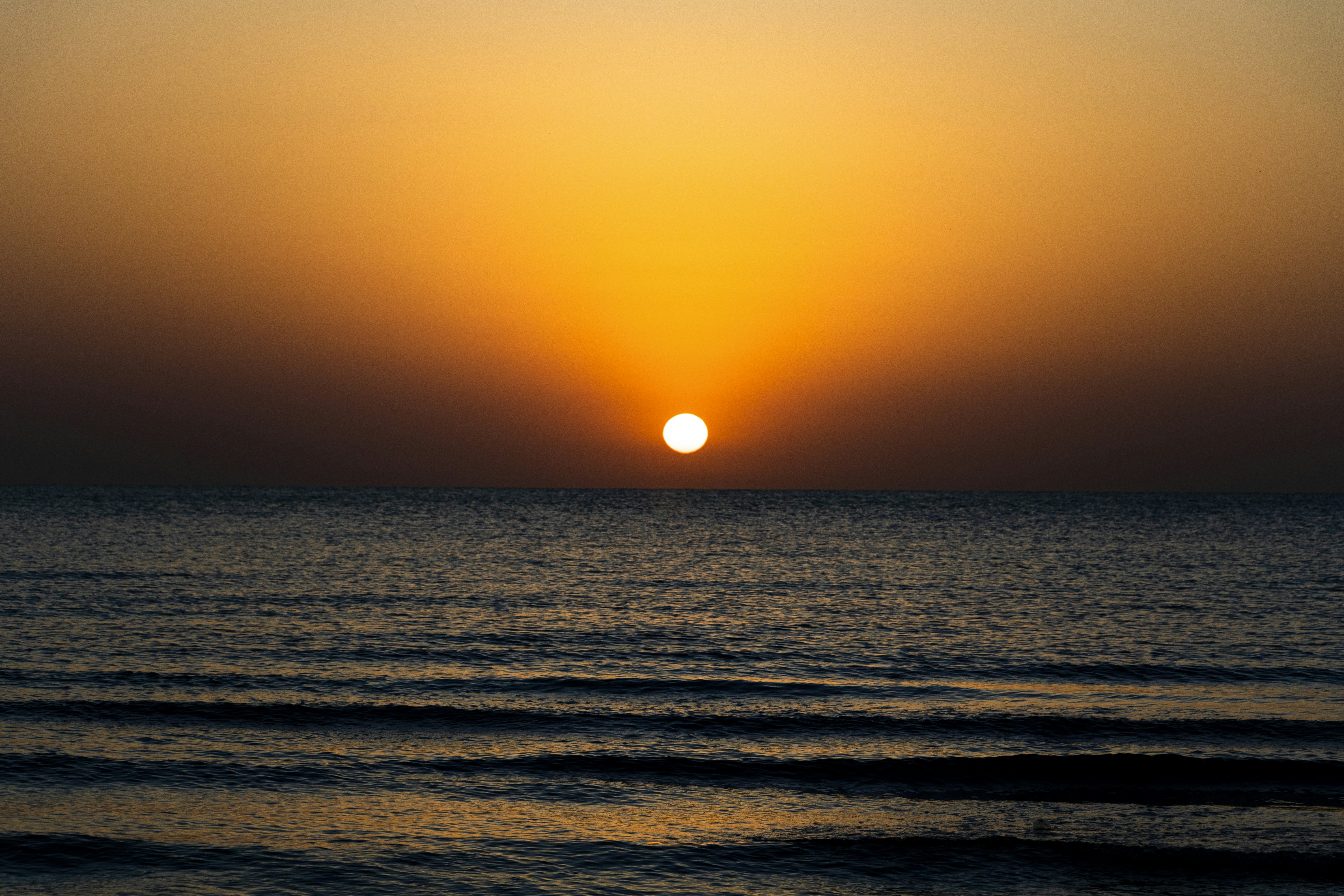 Photo by sedcreatives