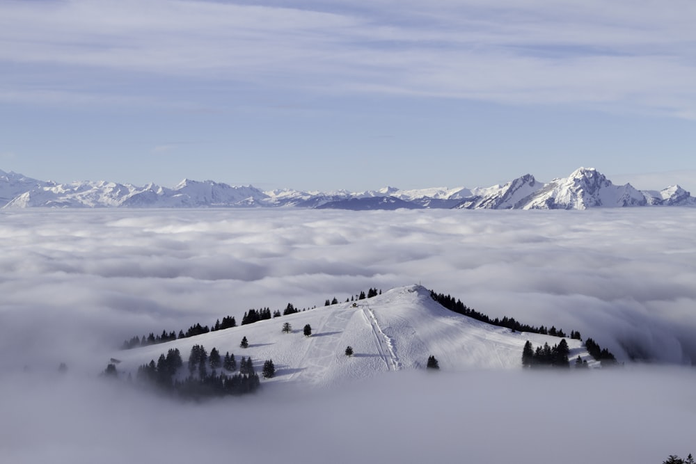 a snowy landscape with mountains in the background