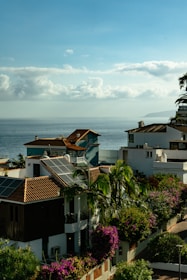 Coastal view with houses featuring red-tiled roofs and solar panels. Lush green palm trees and vibrant purple and pink bougainvillea bushes are prominent. The calm ocean stretches into the distance under a sky filled with fluffy, scattered clouds.