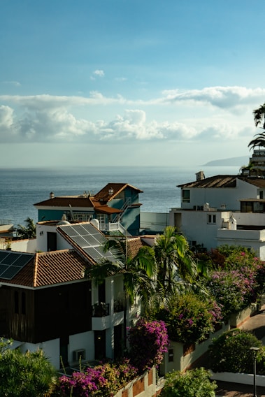 Coastal view with houses featuring red-tiled roofs and solar panels. Lush green palm trees and vibrant purple and pink bougainvillea bushes are prominent. The calm ocean stretches into the distance under a sky filled with fluffy, scattered clouds.