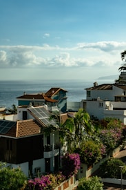 Coastal view with houses featuring red-tiled roofs and solar panels. Lush green palm trees and vibrant purple and pink bougainvillea bushes are prominent. The calm ocean stretches into the distance under a sky filled with fluffy, scattered clouds.