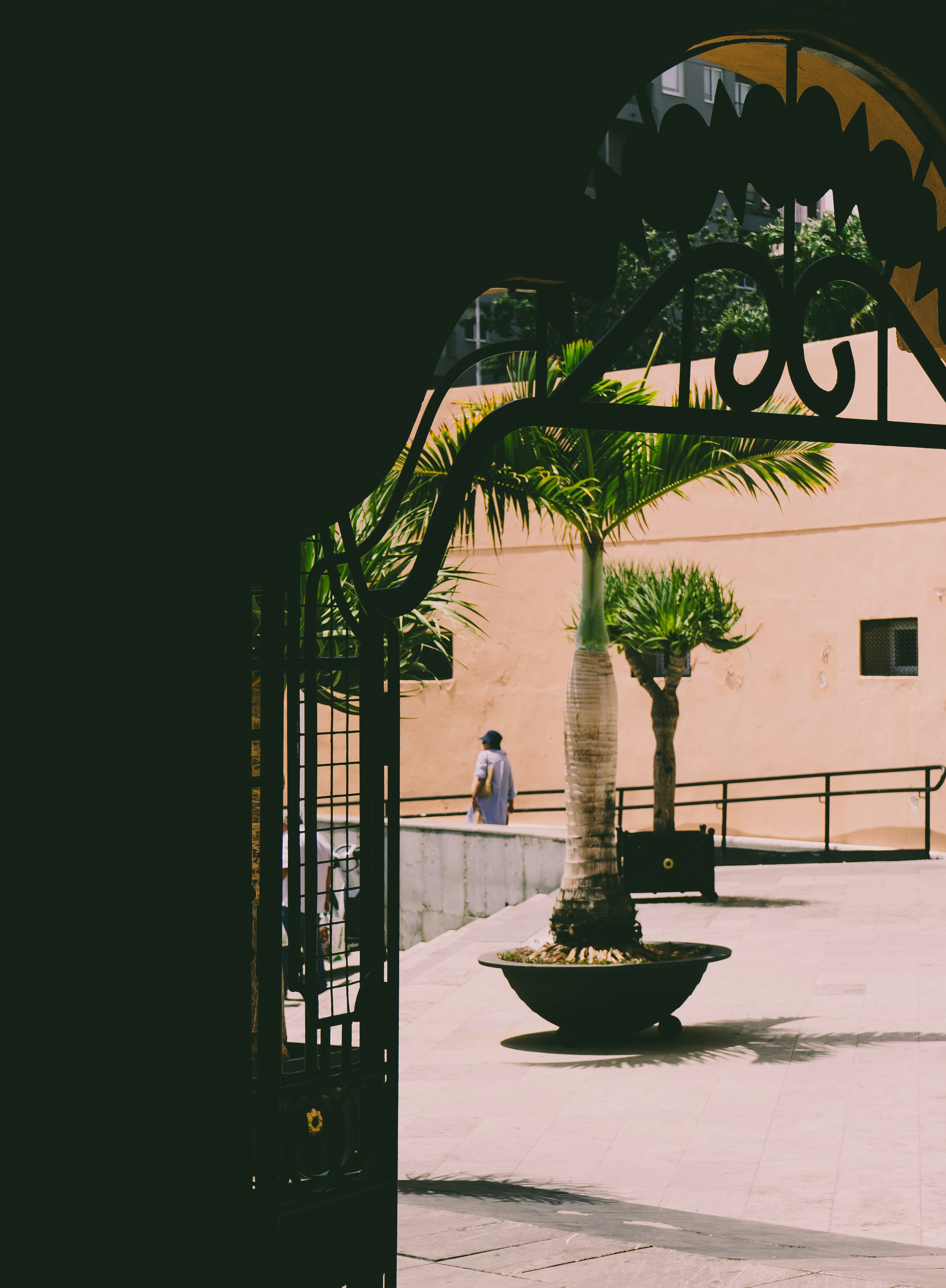 Photo by benjaminmerkle