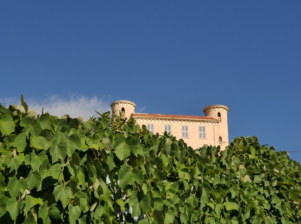 Exploring Vallauris: Local Cuisine, Restaurants & Traditional Recipes