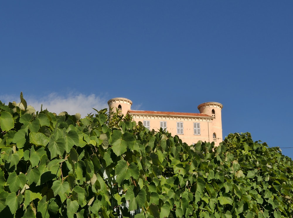 a building behind a bush