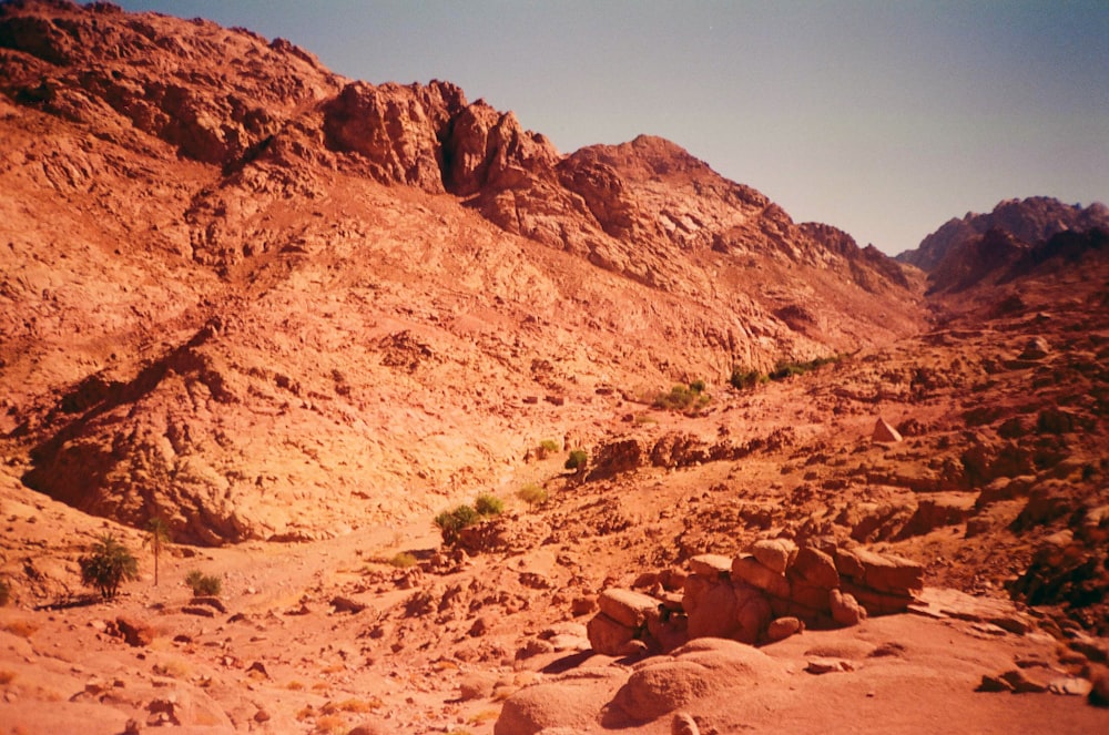 a rocky desert landscape