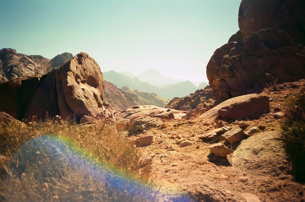 a rocky area with grass and rocks