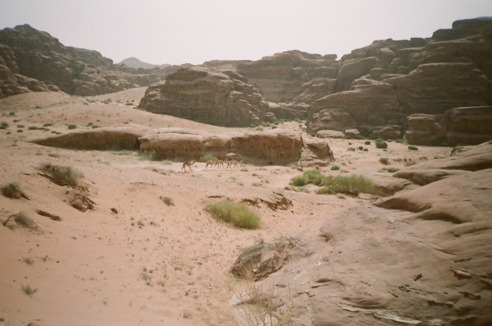 a desert landscape with rocks