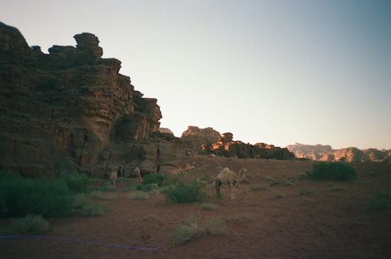 A vibrant desert landscape with film crew setting up cameras near traditional Moroccan architecture under warm golden light.