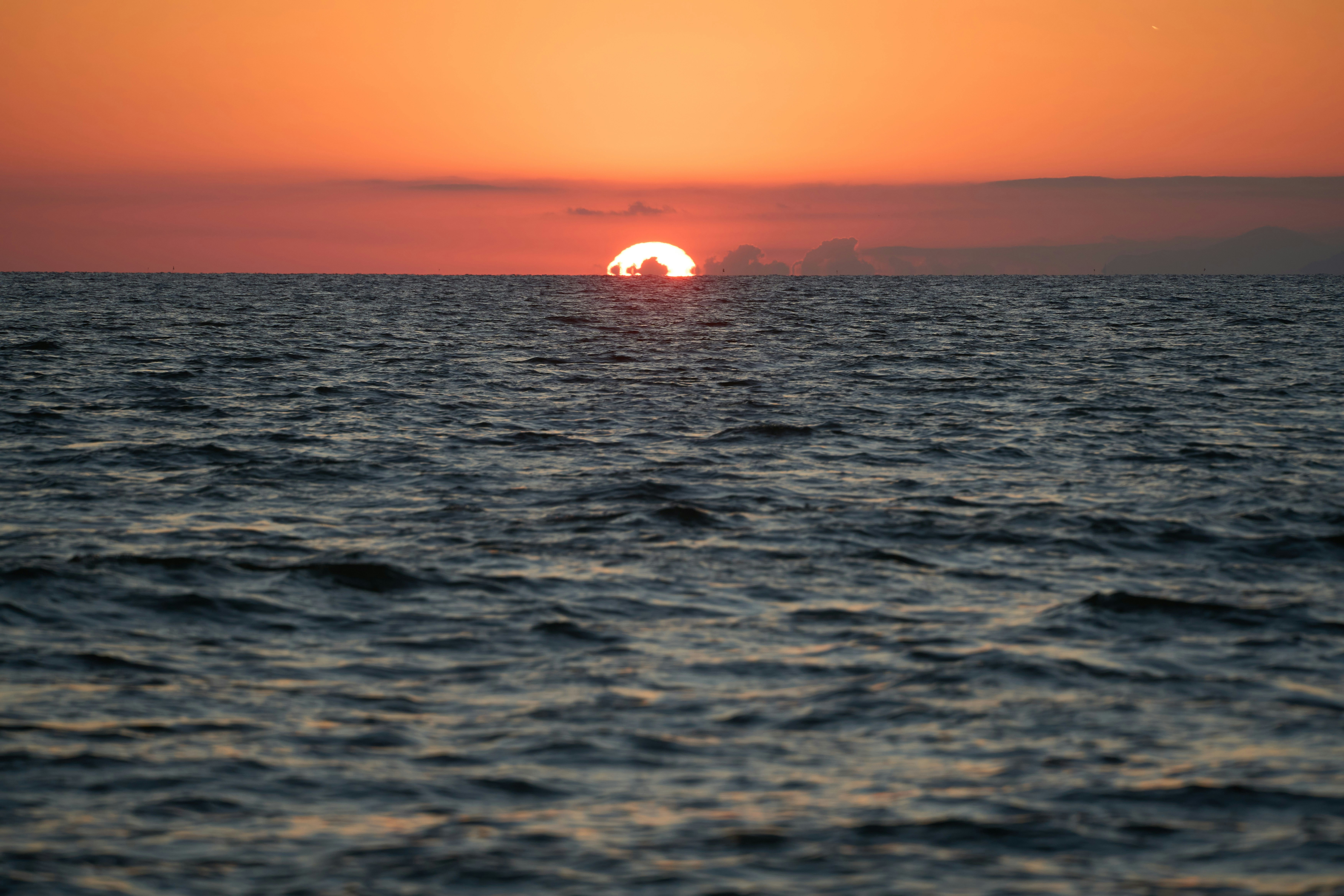 Photo by wolfgang_hasselmann