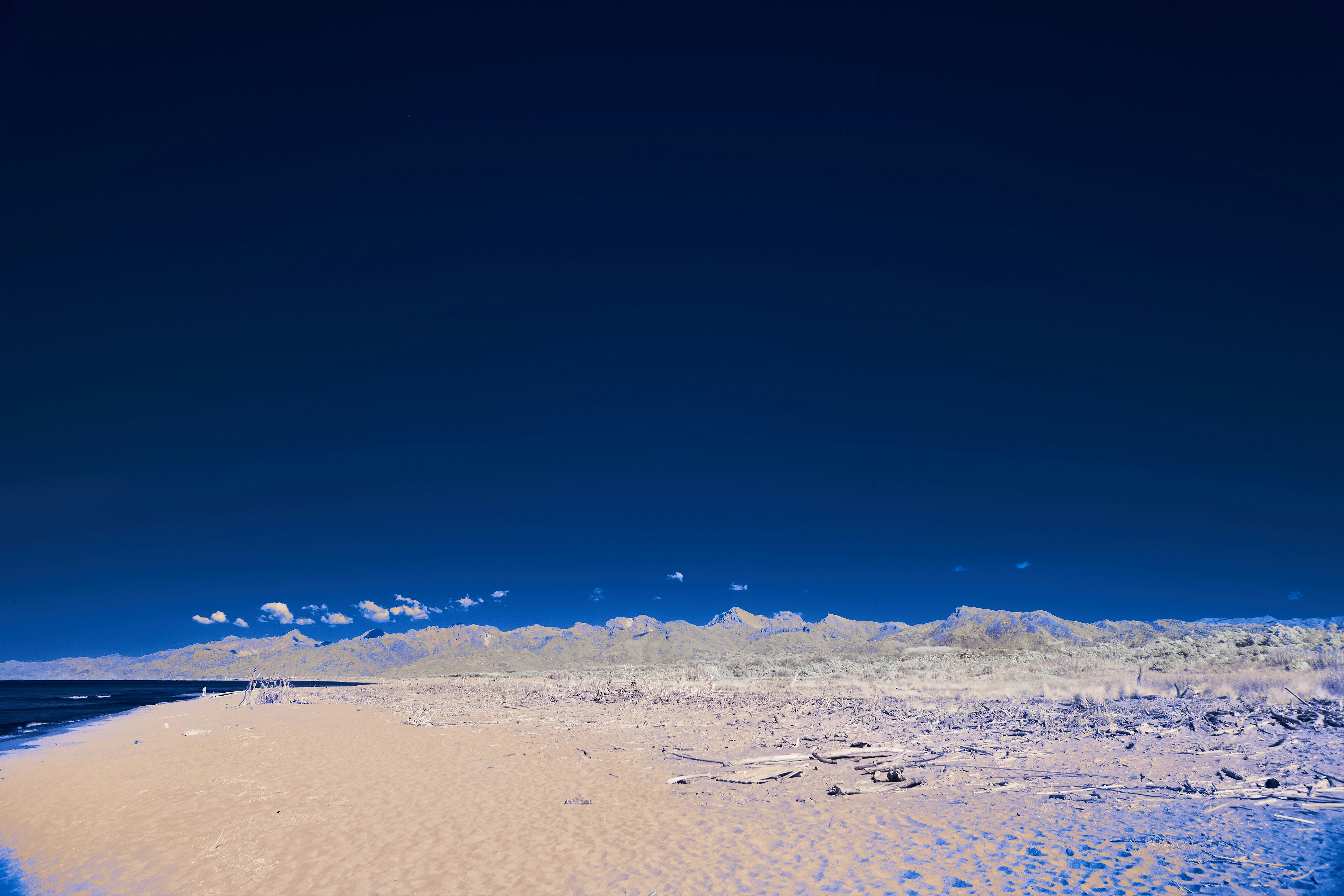 Photo by wolfgang_hasselmann