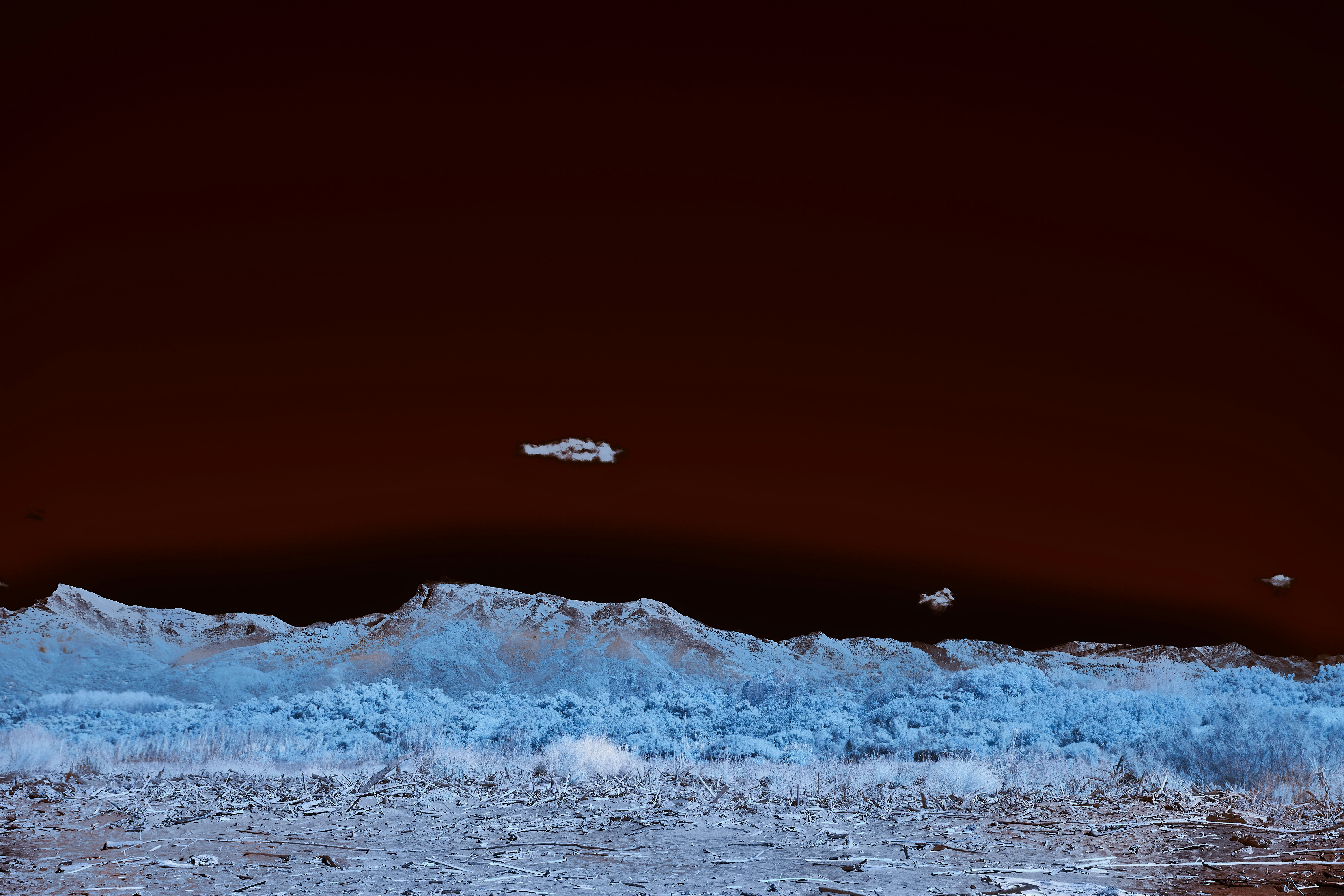 Photo by wolfgang_hasselmann