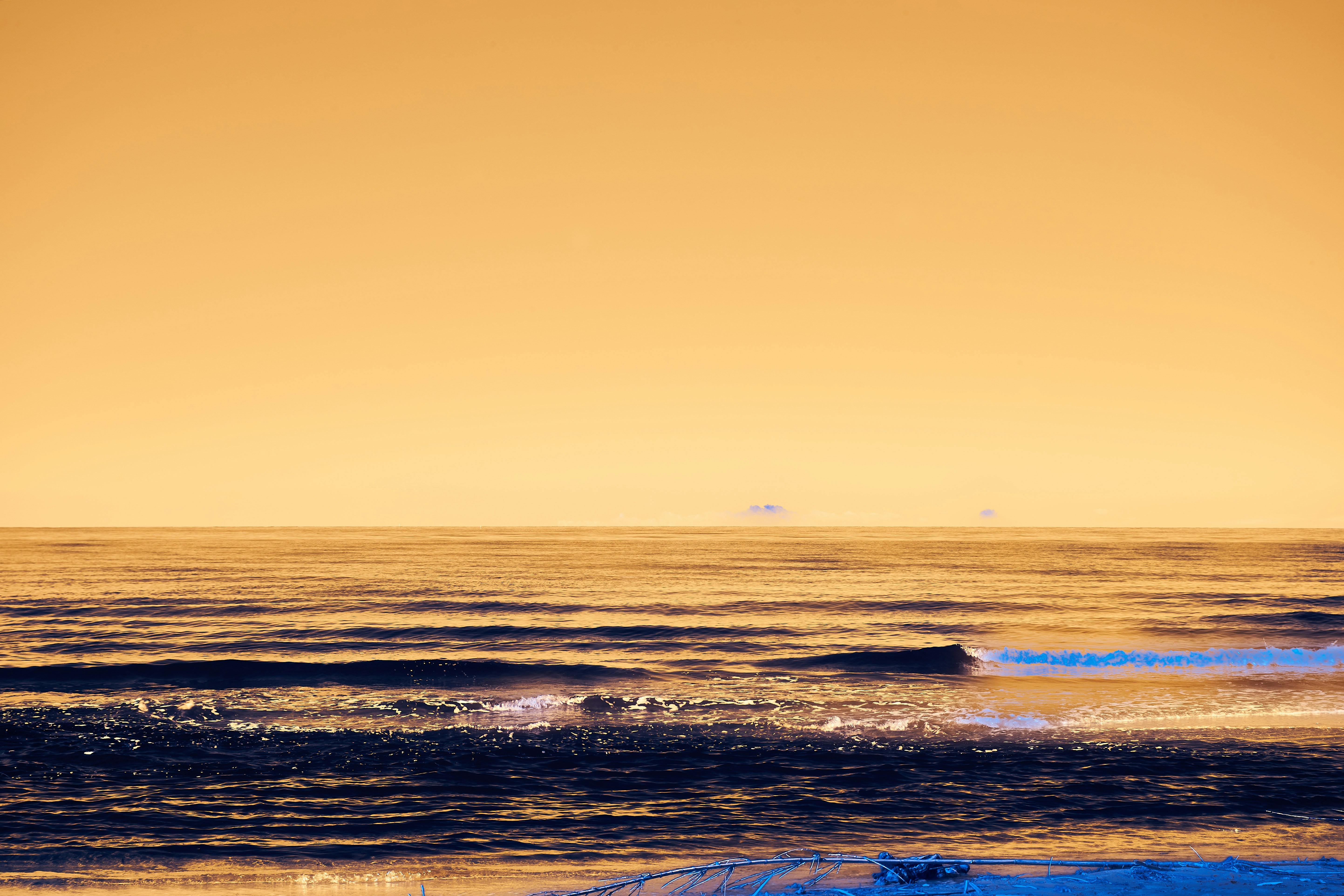 Photo by wolfgang_hasselmann