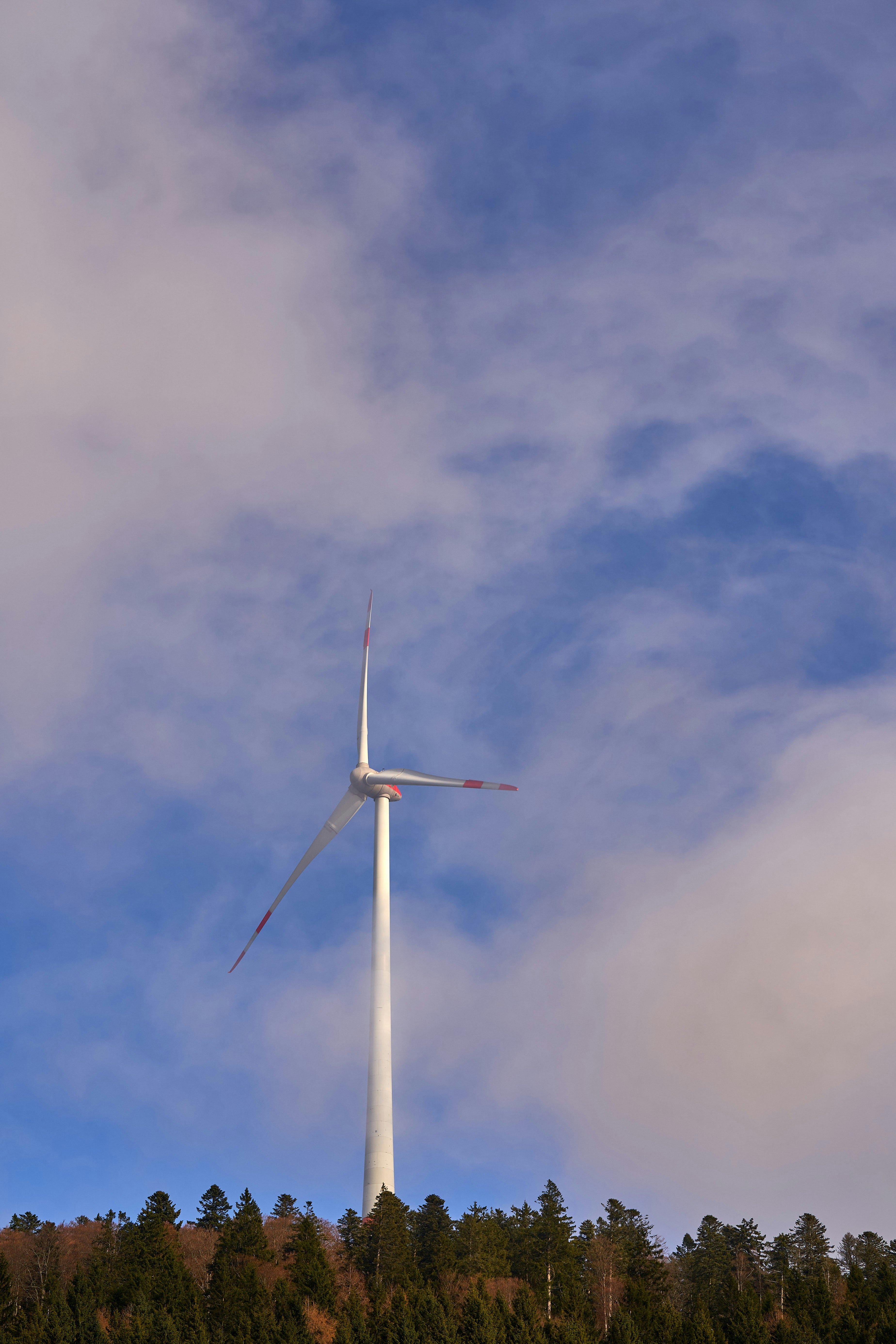 Photo by wolfgang_hasselmann