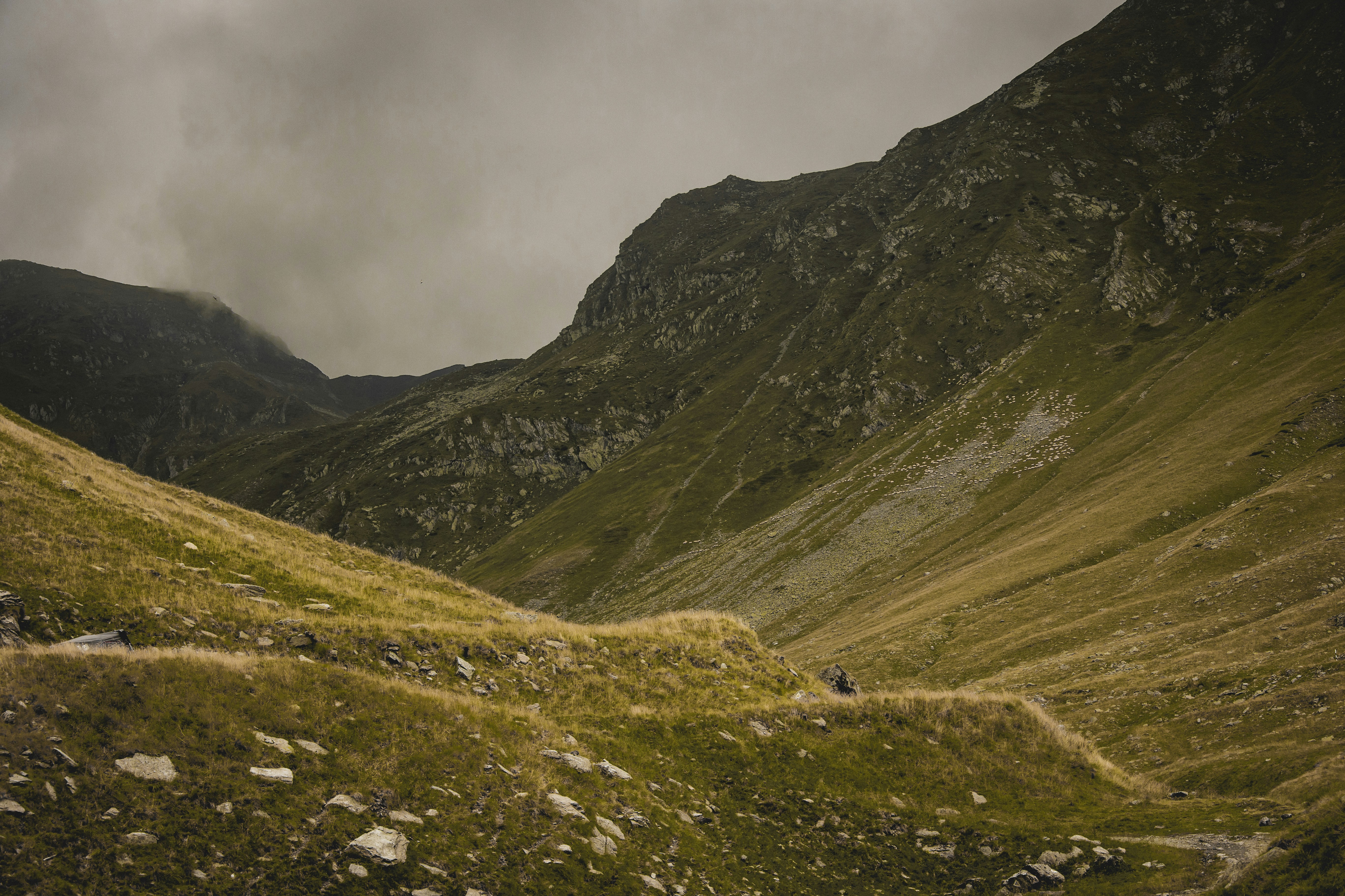 Photo by elisamoldovan