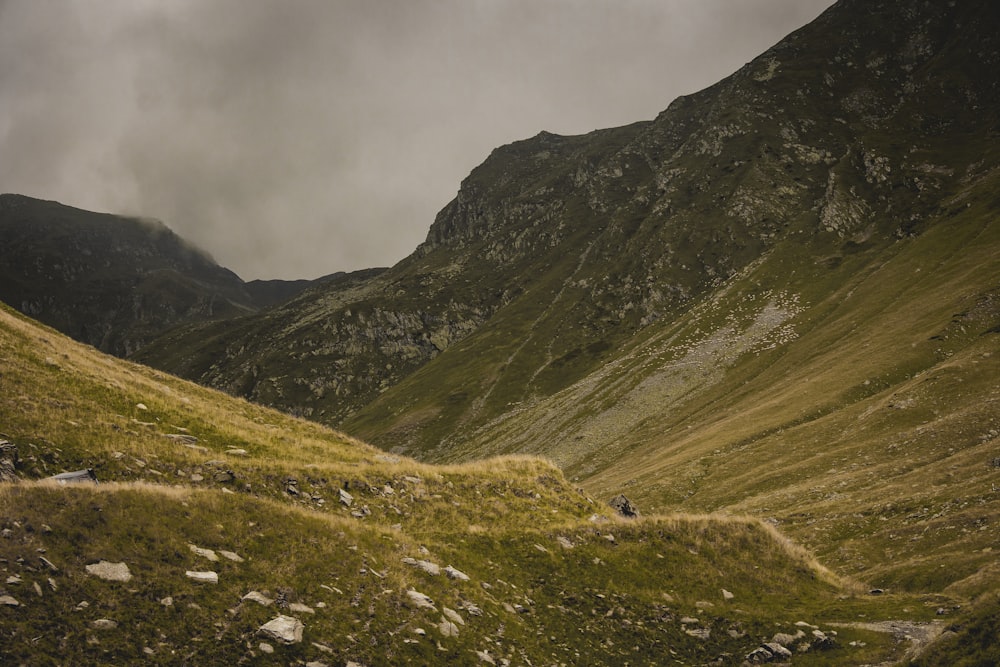 a grassy valley with a mountain in the background