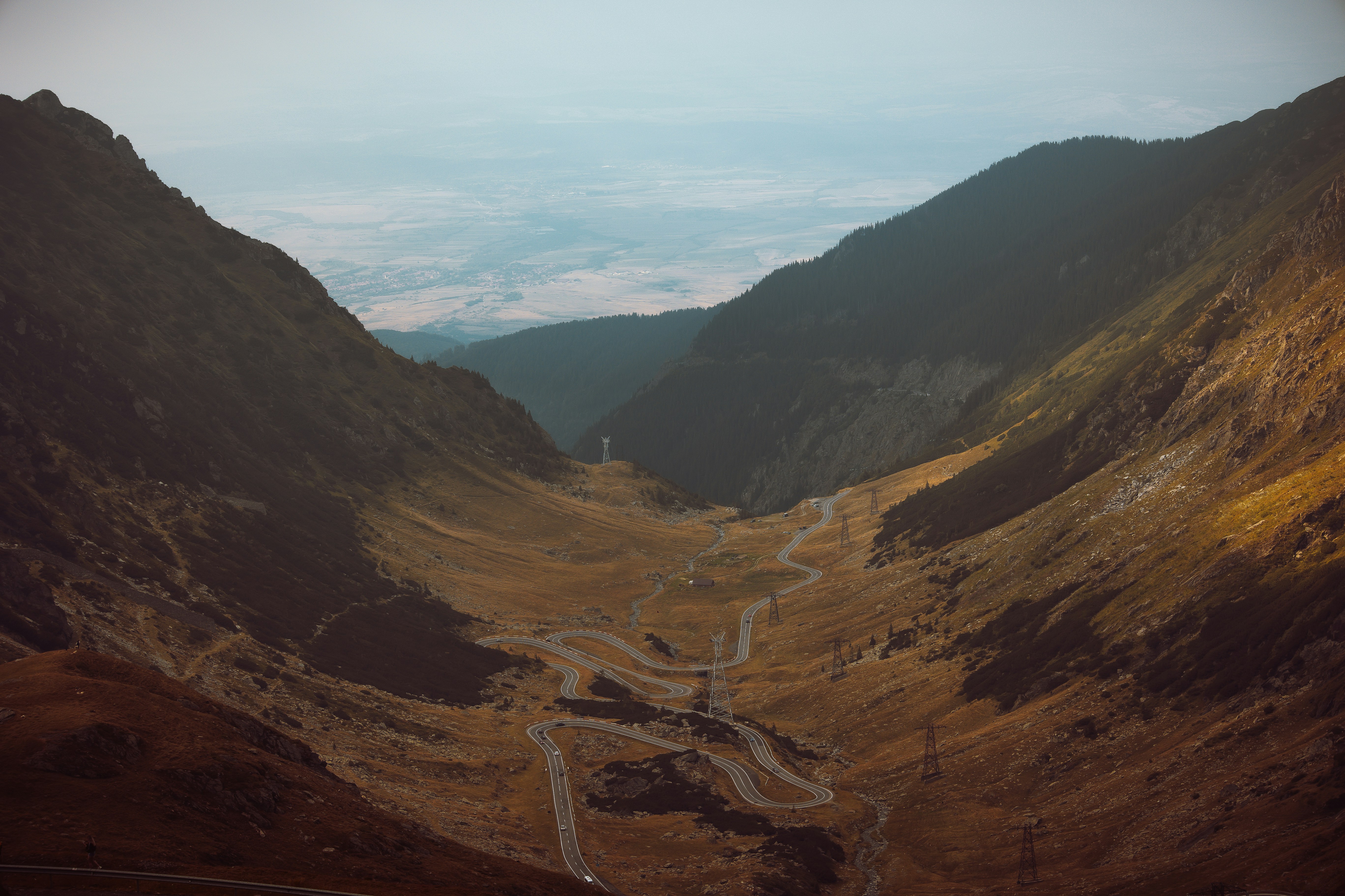 Photo by elisamoldovan