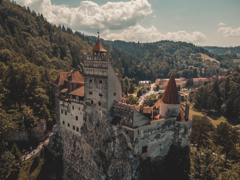 a castle on a hill