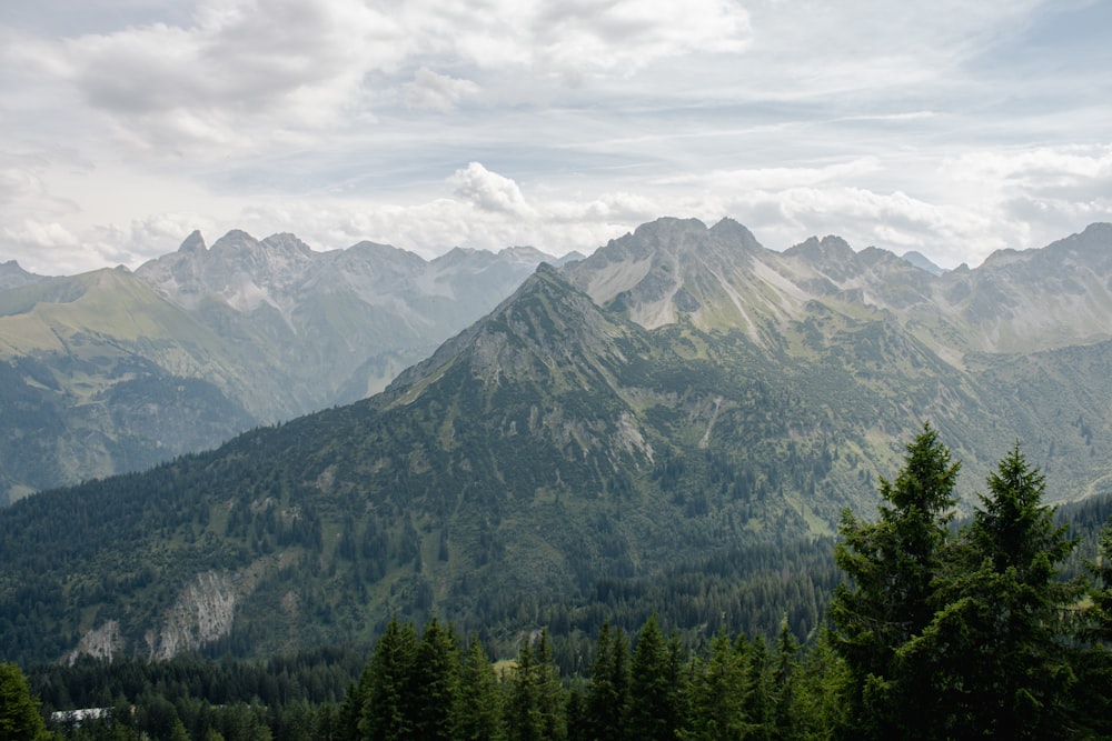 a mountain range with trees