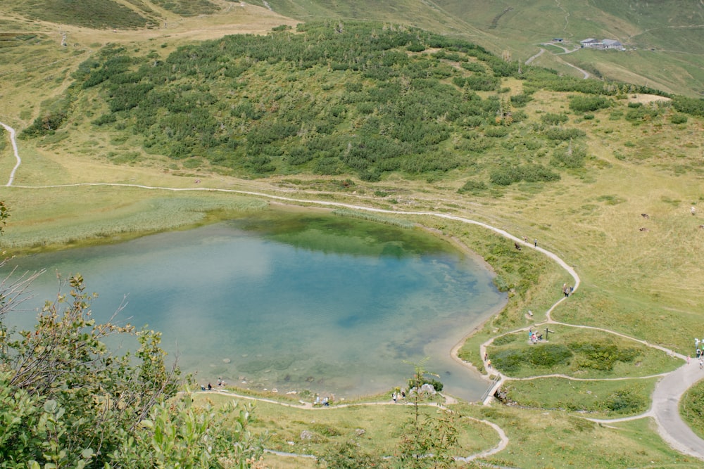 a body of water surrounded by grass and trees