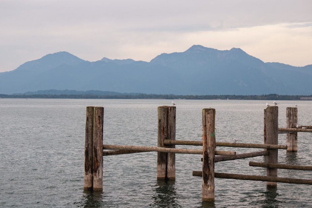 um grupo de postes de madeira em um corpo de água com montanhas ao fundo