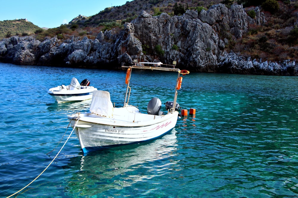 boats tied to a dock