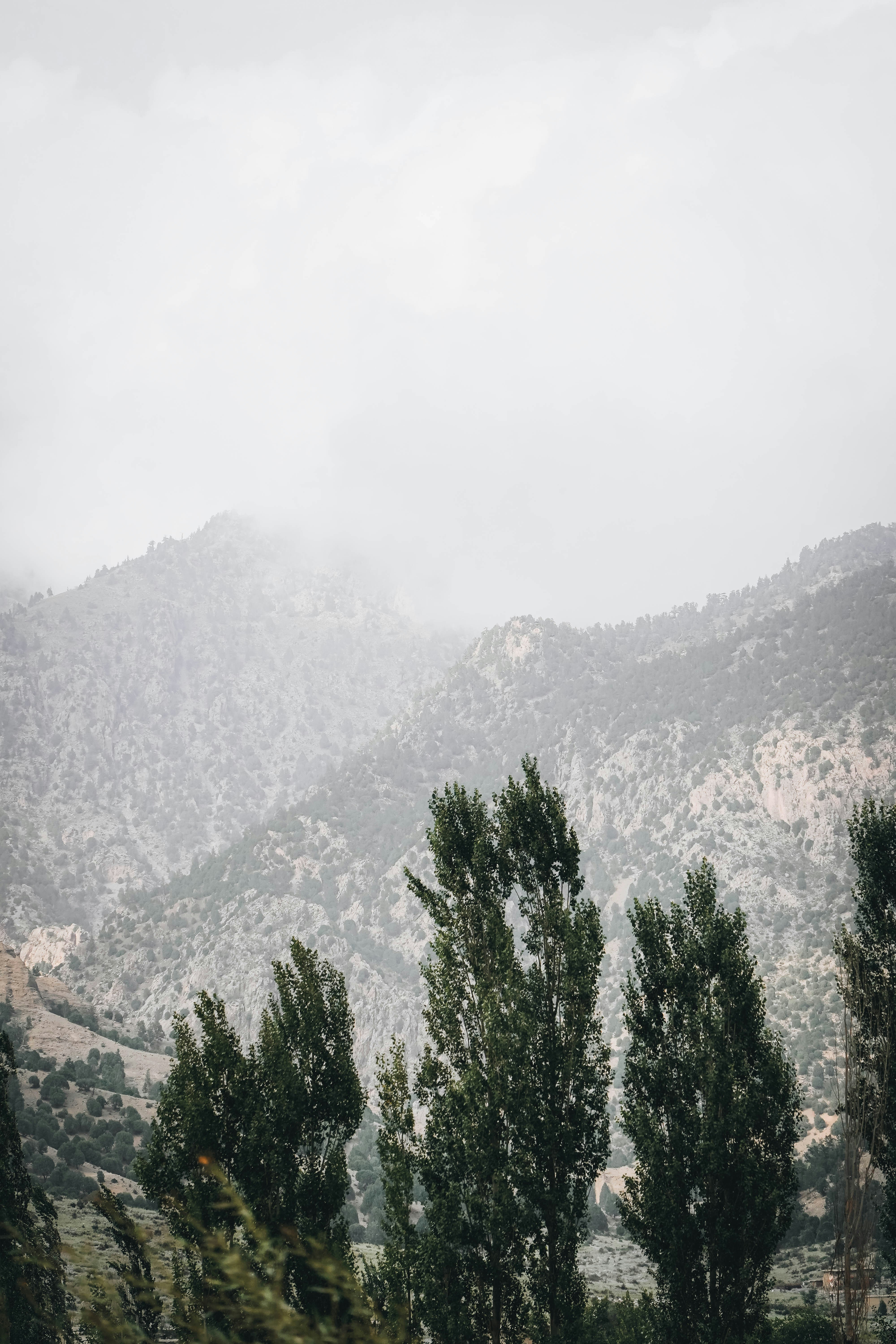 Photo by shahjahan_sangeen