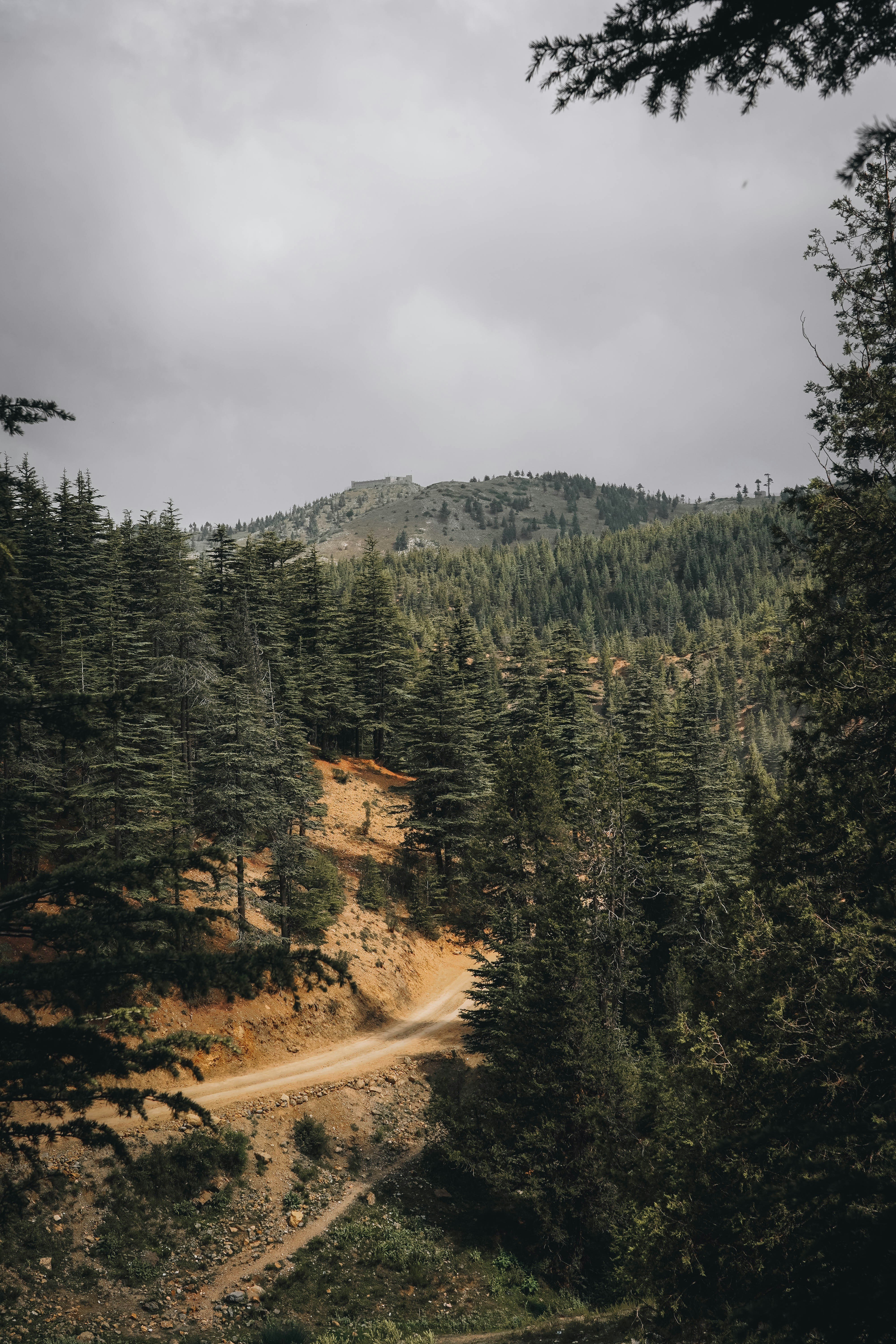 Photo by shahjahan_sangeen