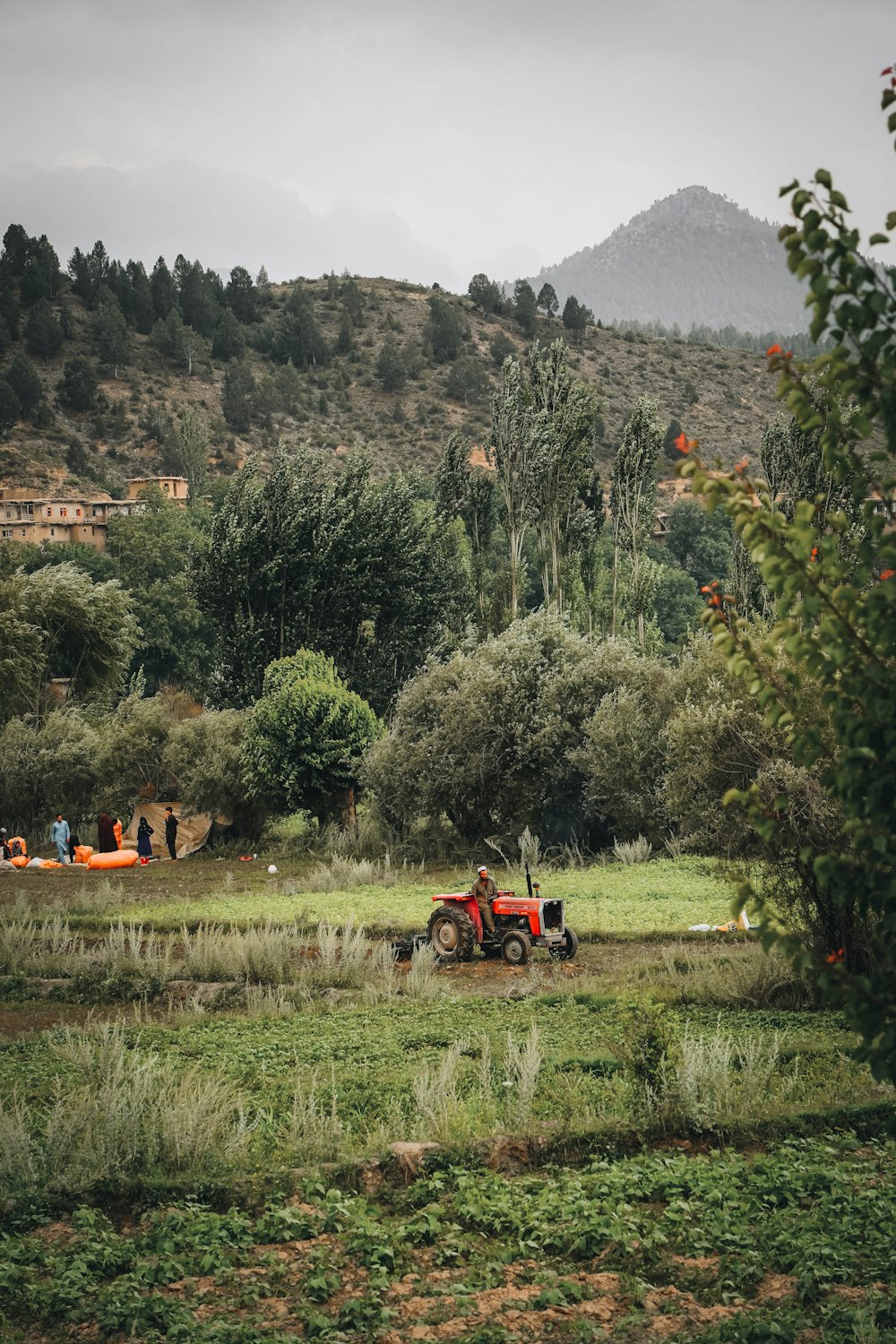 a tractor in a field