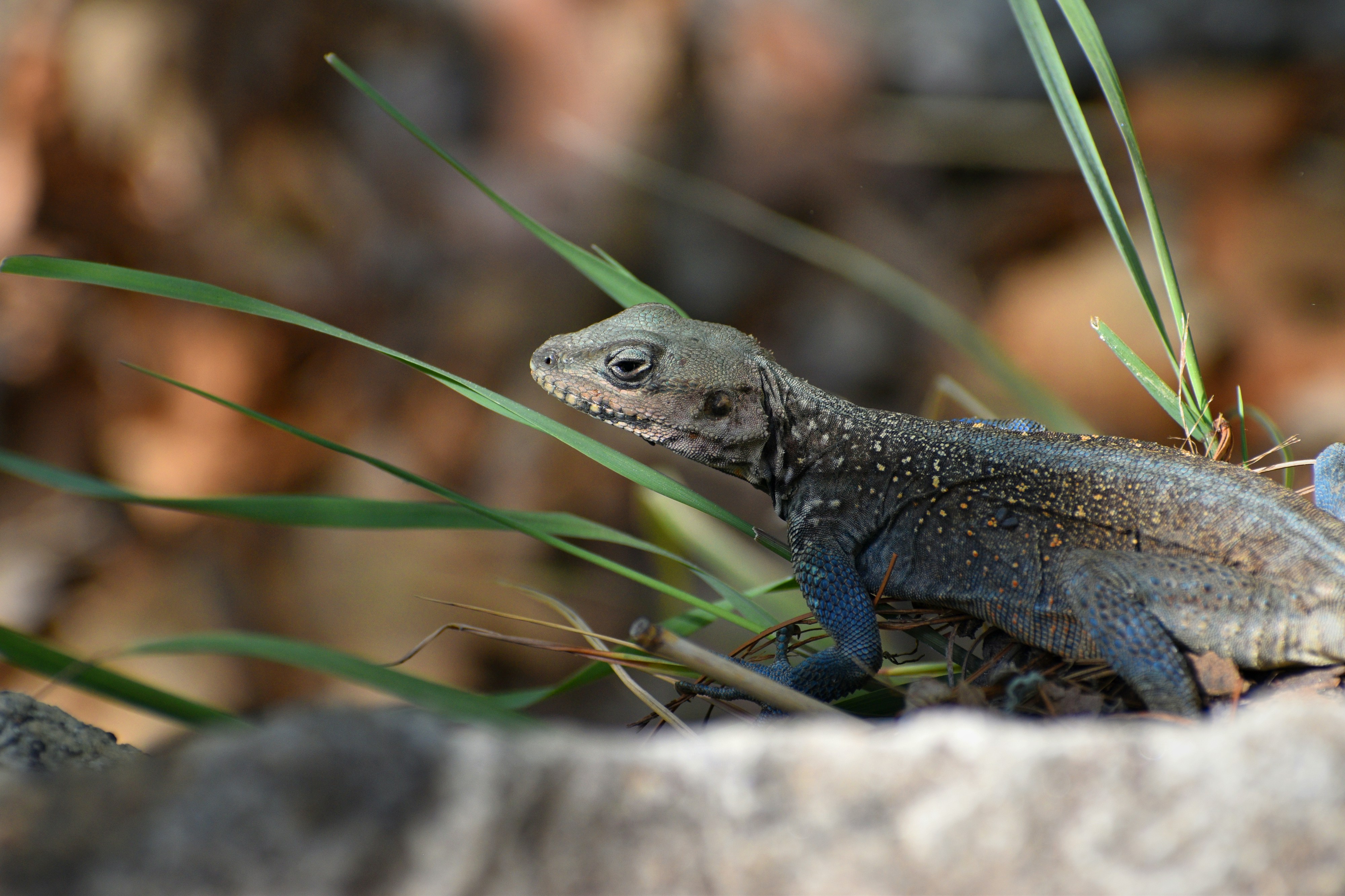 Photo by rishu_bhosale