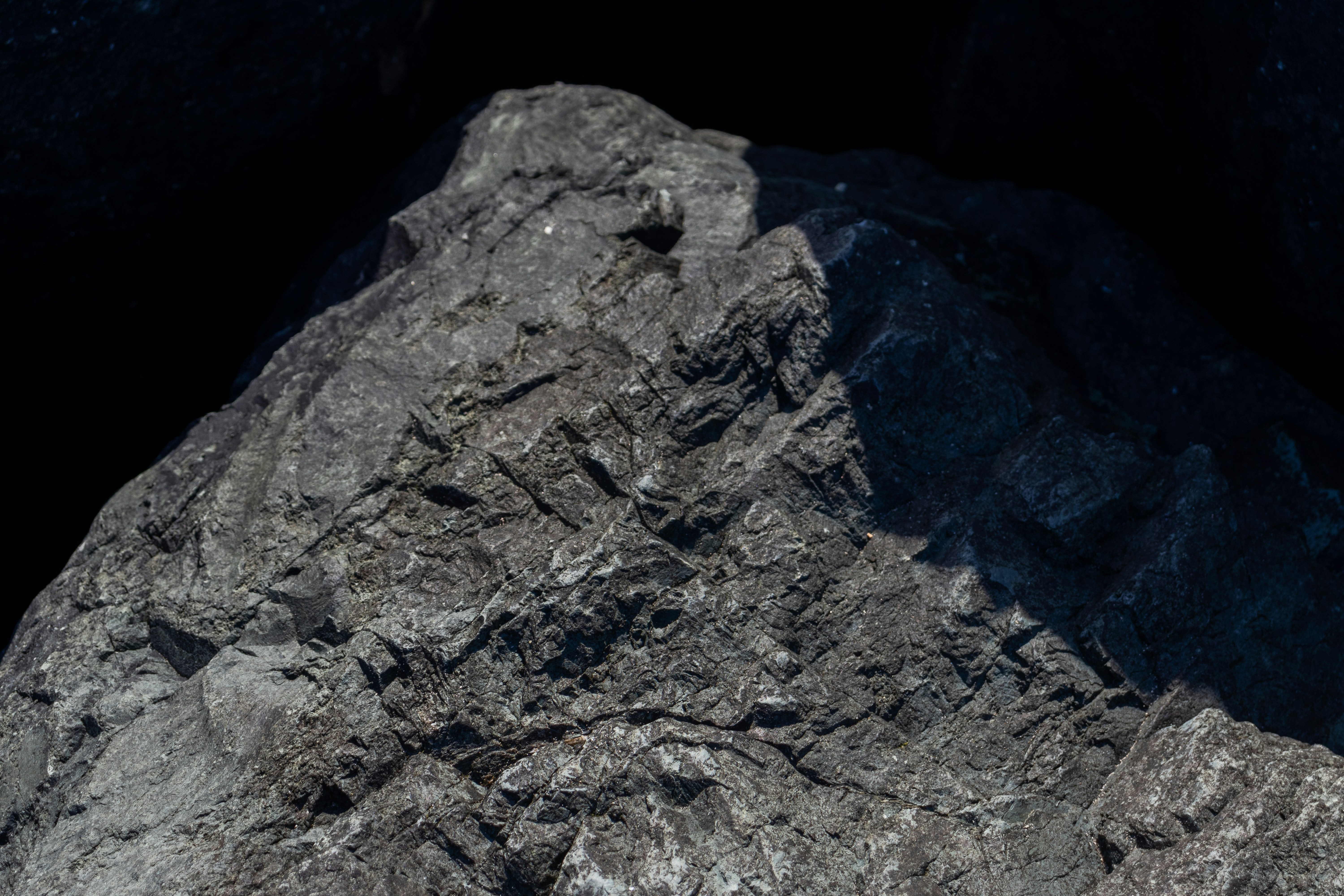 Photo by pokornymichal