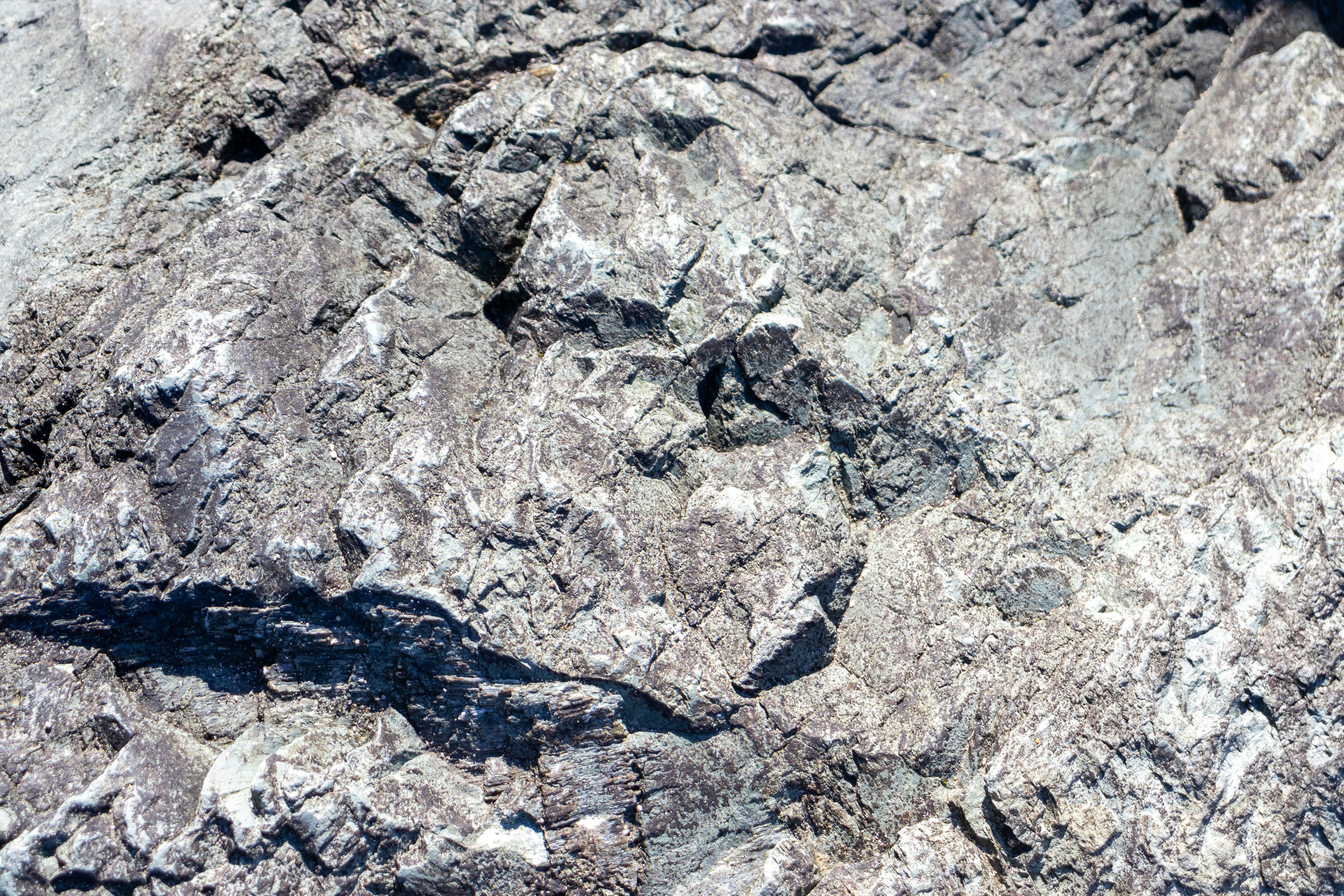 Photo by pokornymichal