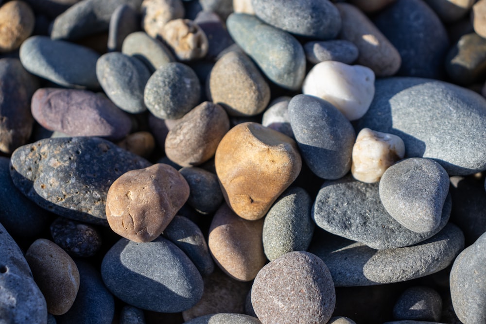 a group of rocks