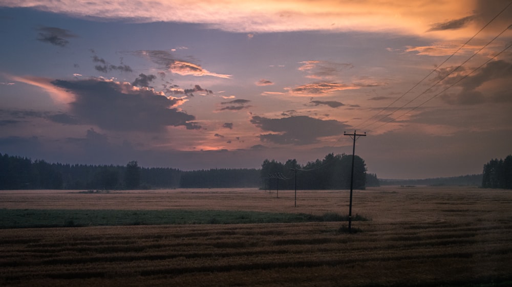 a field with power lines and trees