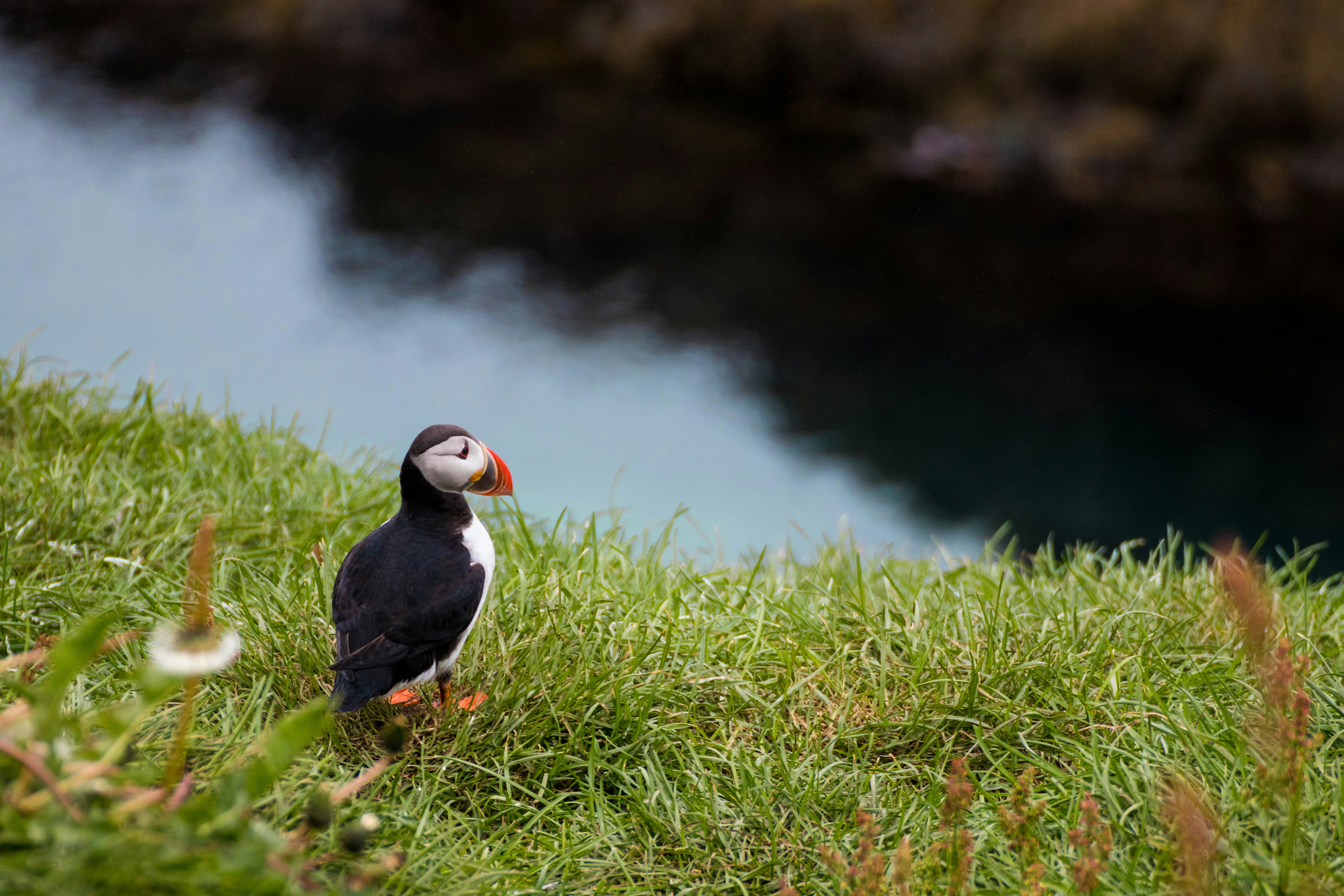 Photo by bianca_fazacas