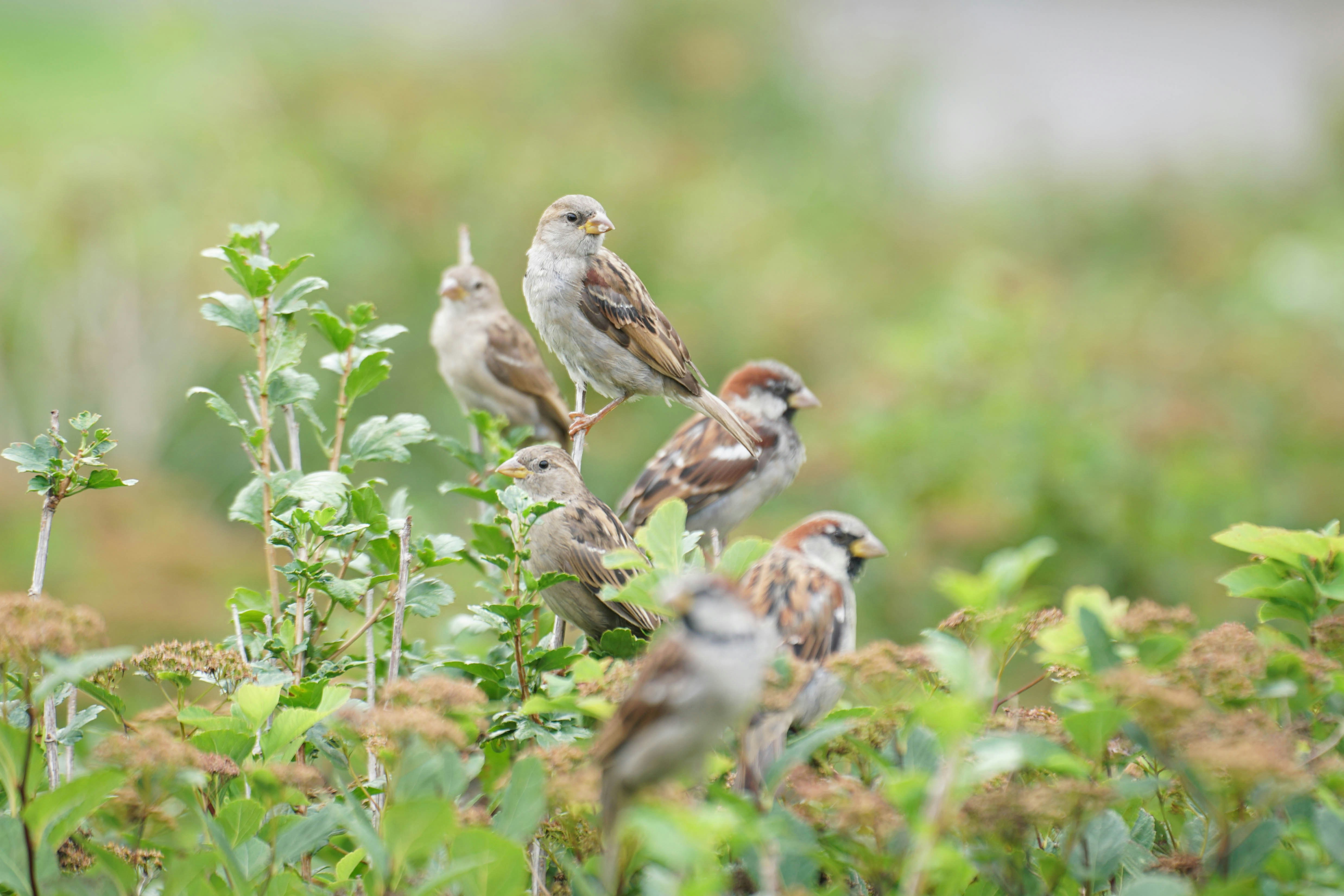 Photo by karographix