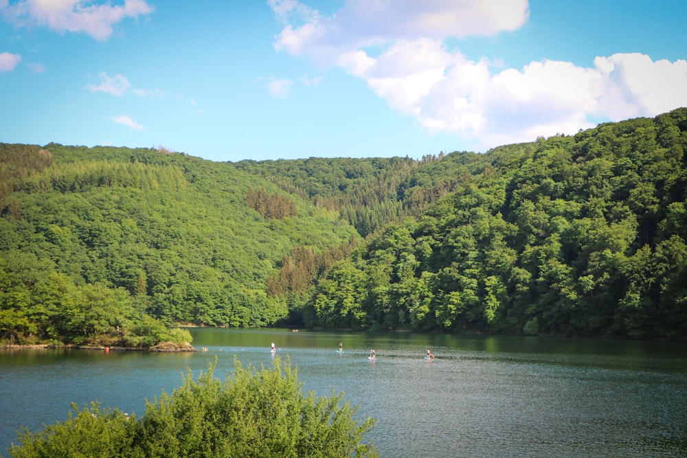 um grupo de pessoas em um lago cercado por árvores