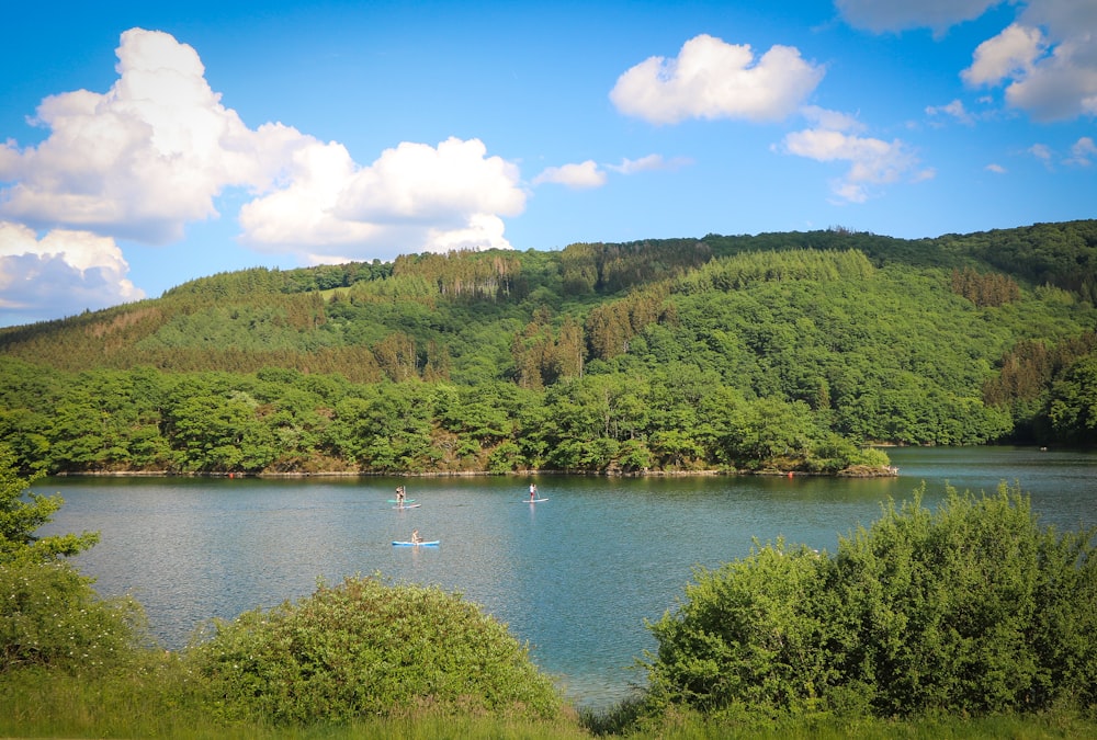 un lac entouré d’arbres