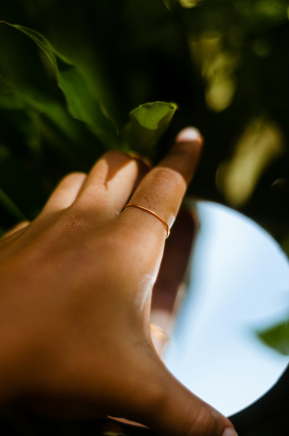 a hand holding a small plant