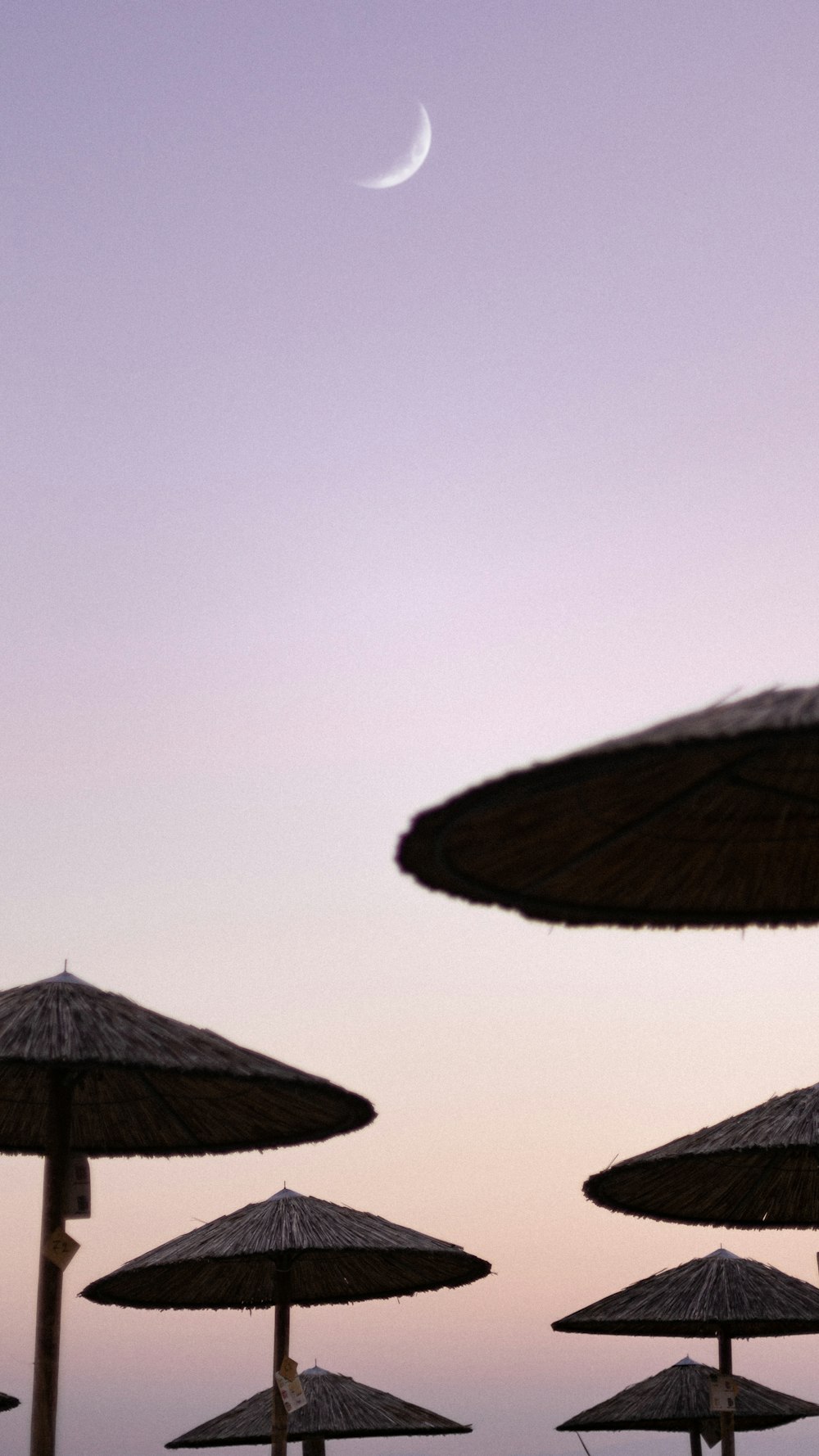 a group of umbrellas sit in the middle of a beach