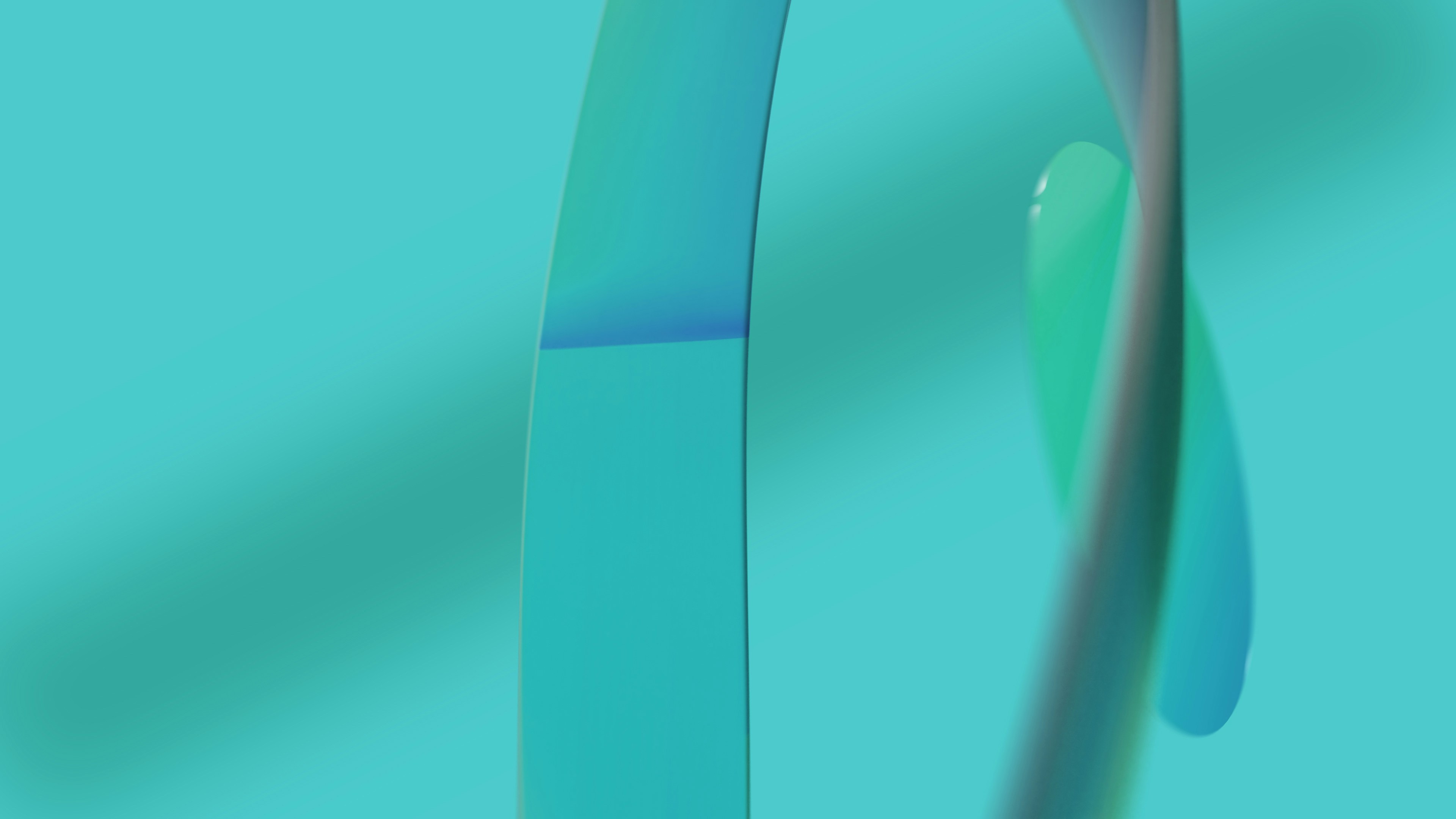 Photo by diegocarneiro