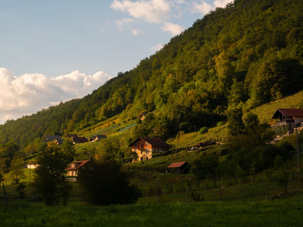 a group of houses on a hill