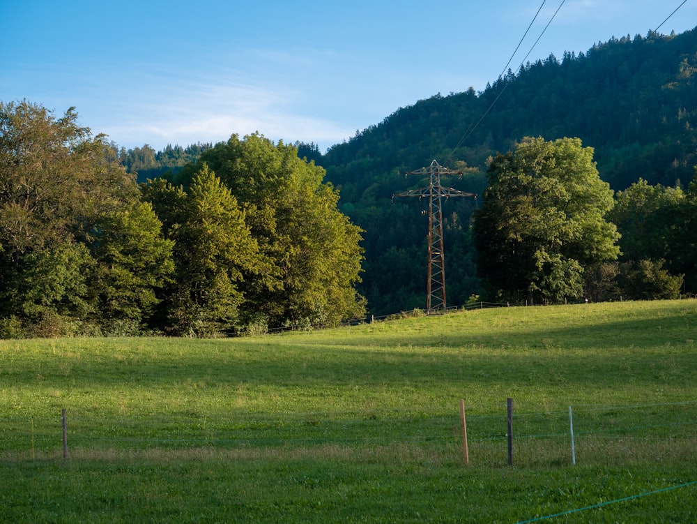 a grassy field with trees and power lines in the background