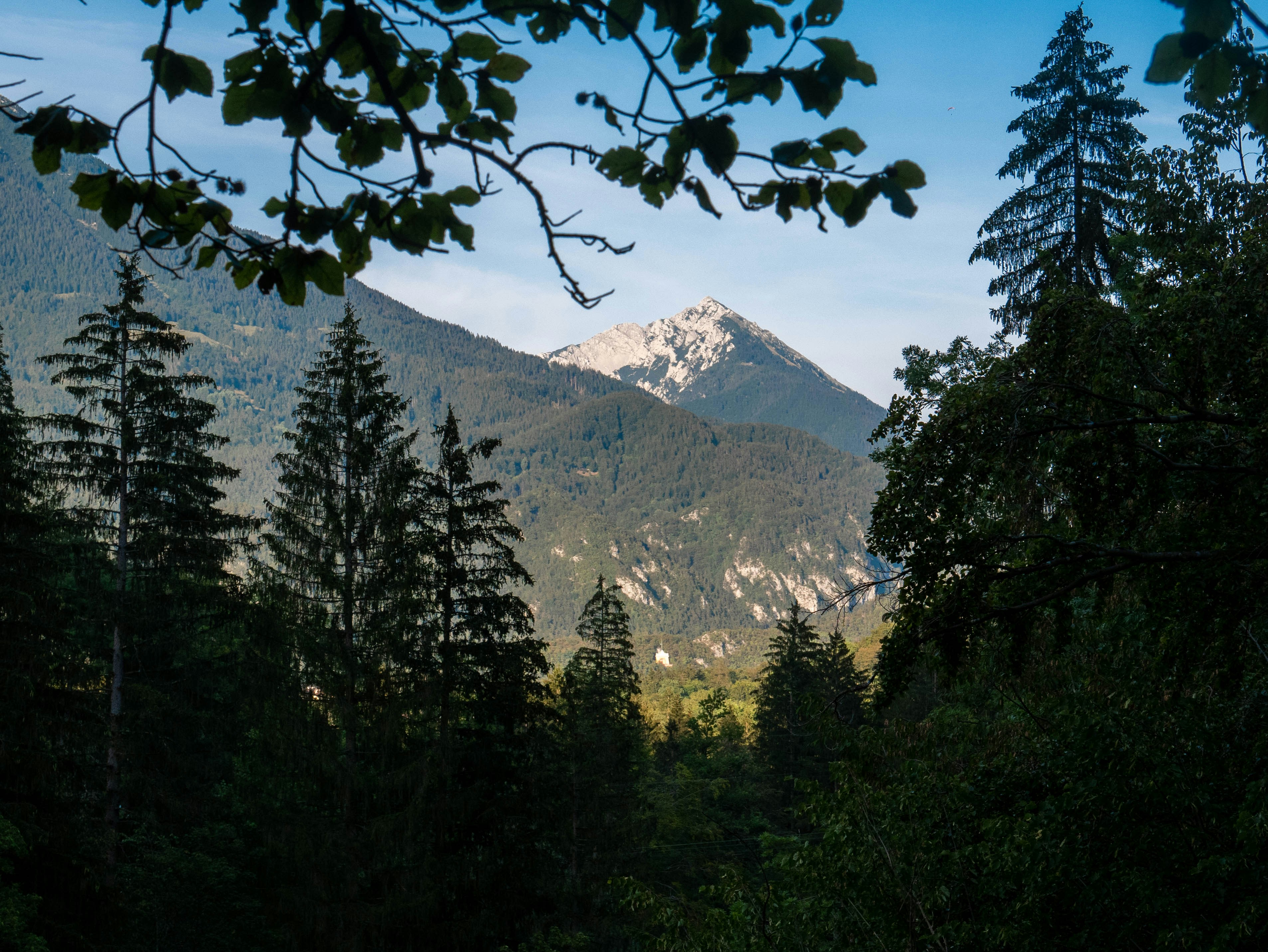 Photo by adriannegura