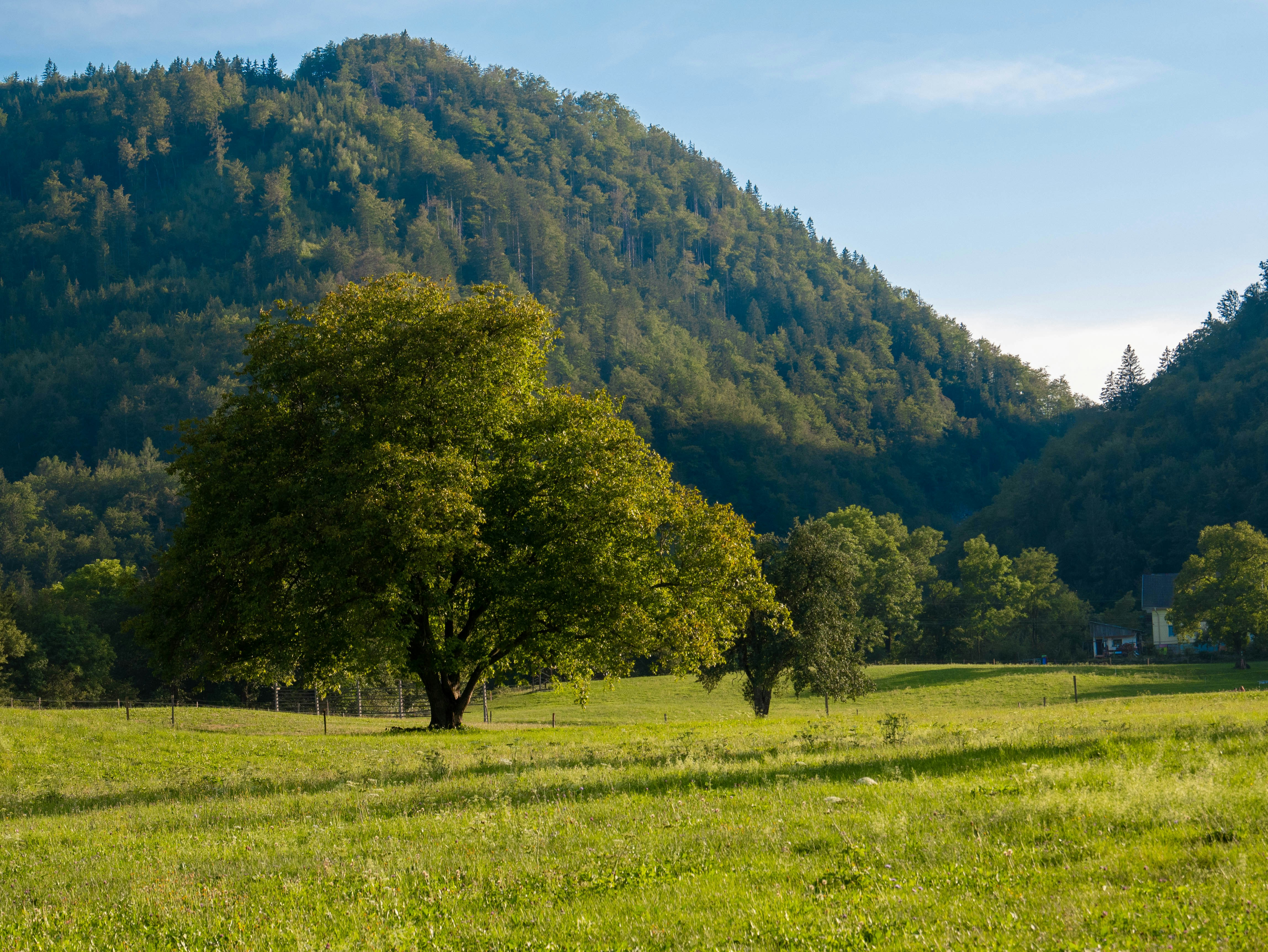 Photo by adriannegura