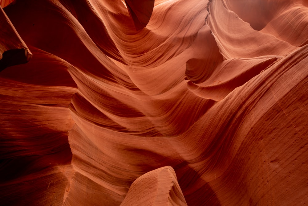 a close-up of a canyon